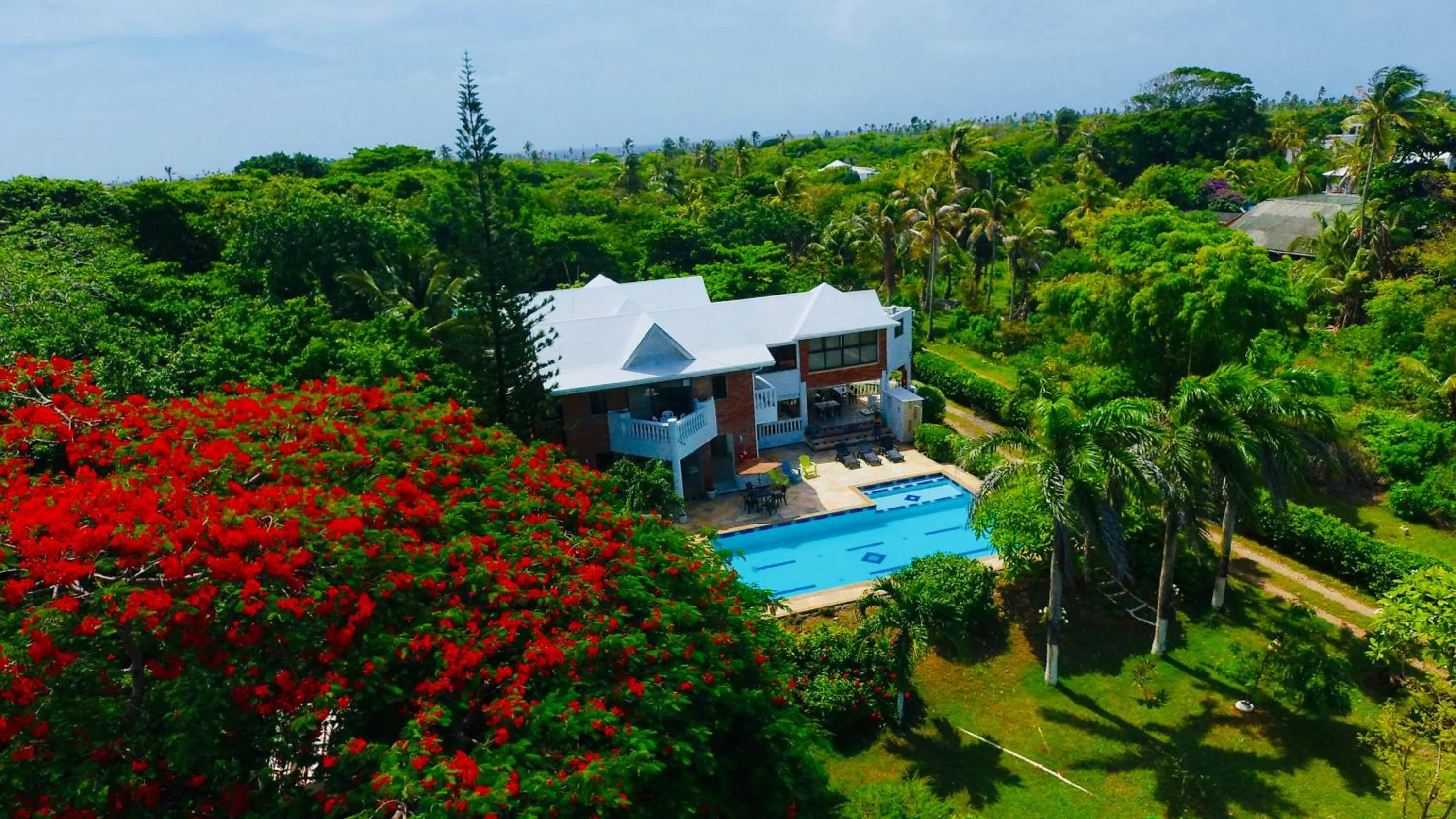 Bird's eye view in Casa de las Flores tropical