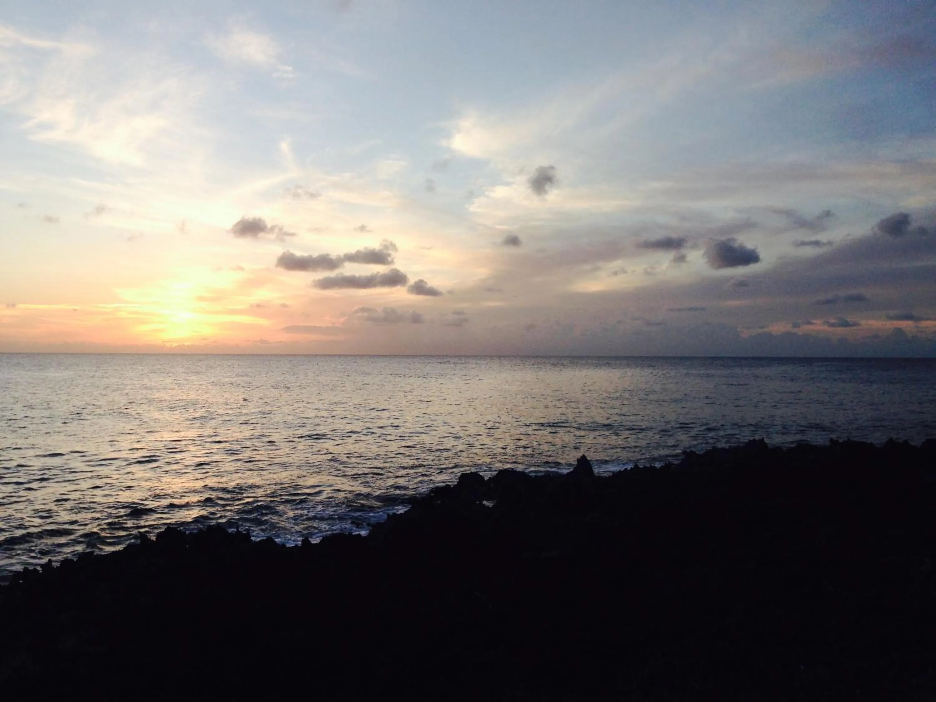 Natural landscape in Casa de las Flores tropical