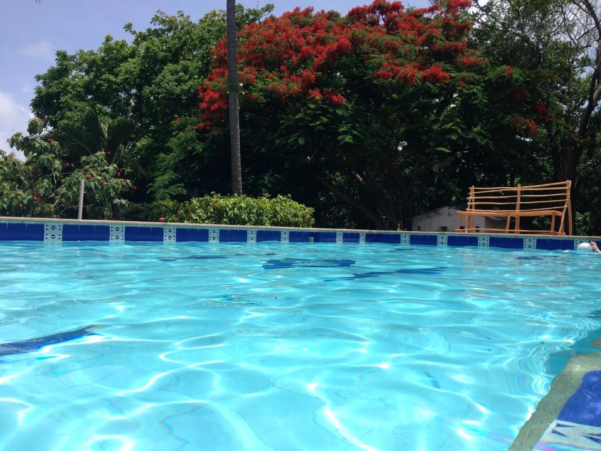 Swimming pool in Casa de las Flores tropical