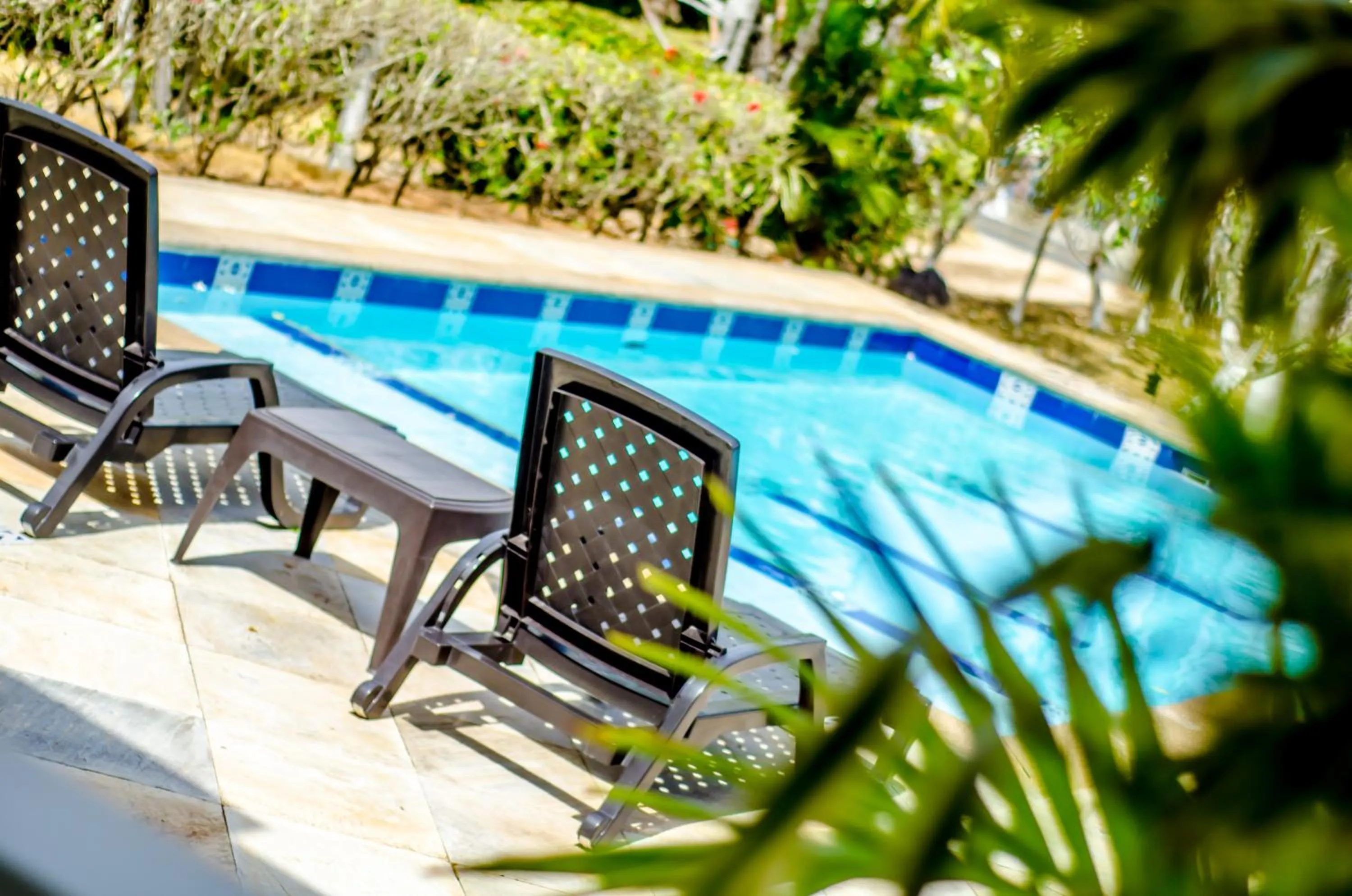  in Casa de las Flores tropical