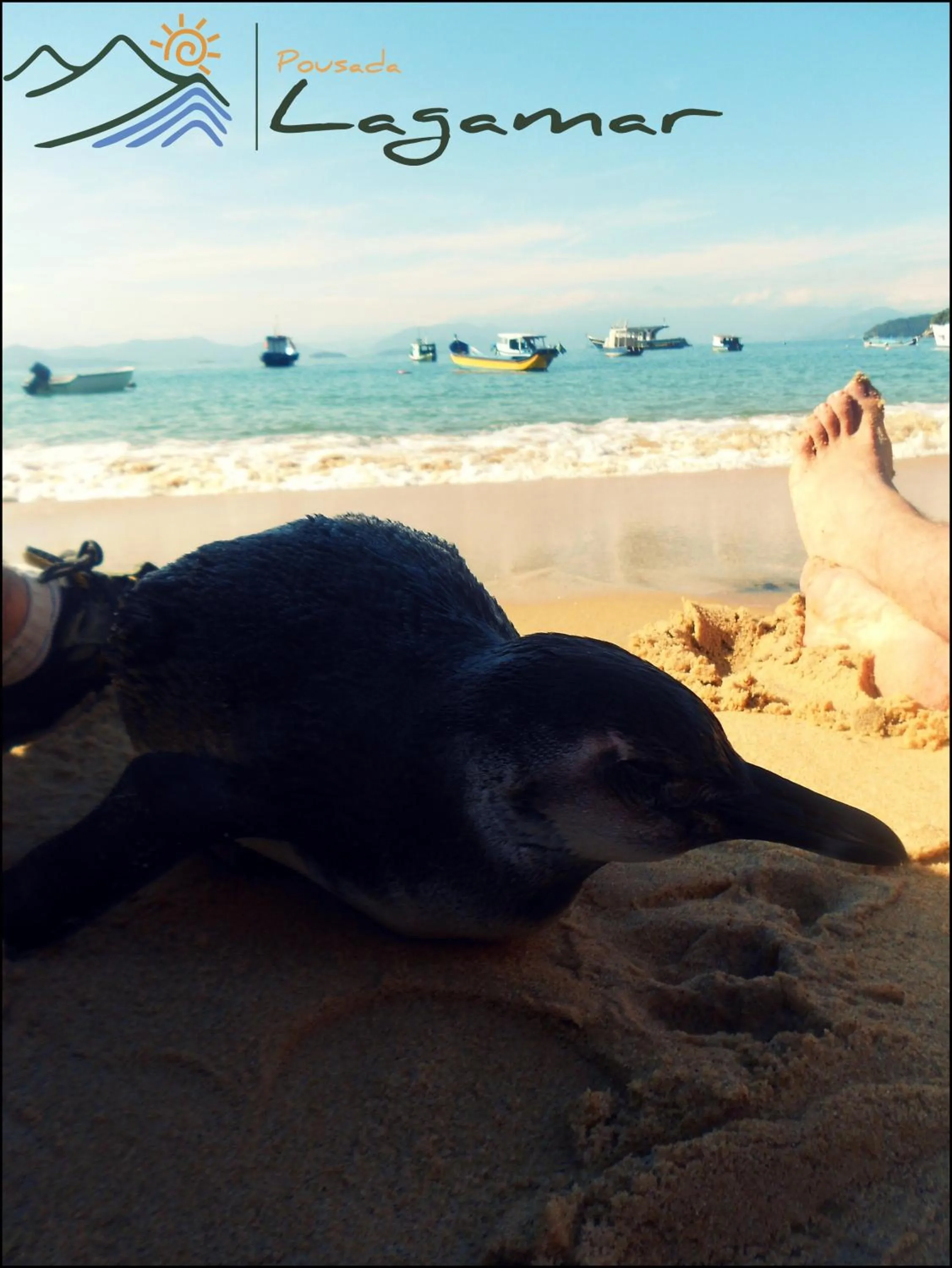 Beach in Pousada Lagamar