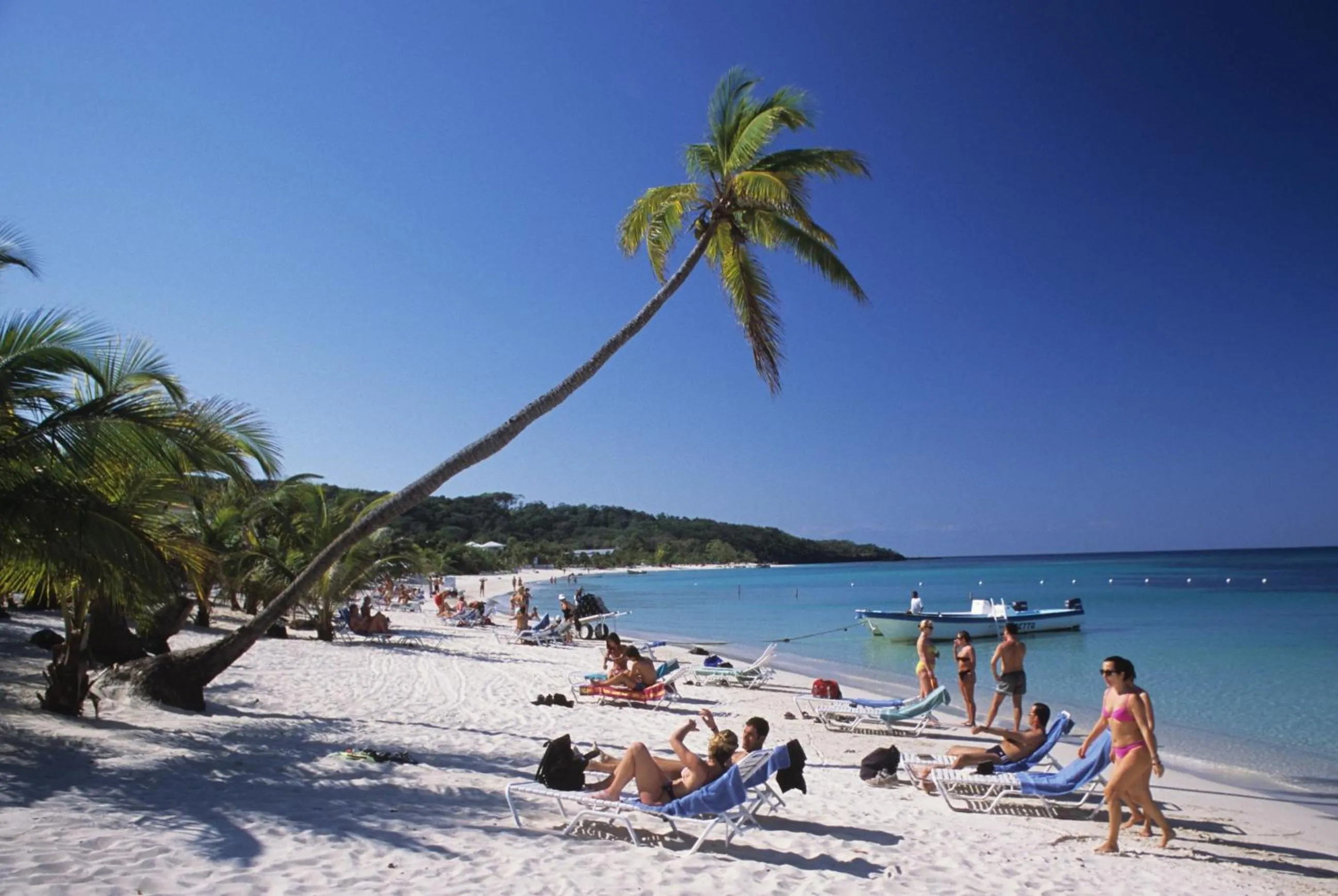 Day in Las Rocas Resort and Dive Center