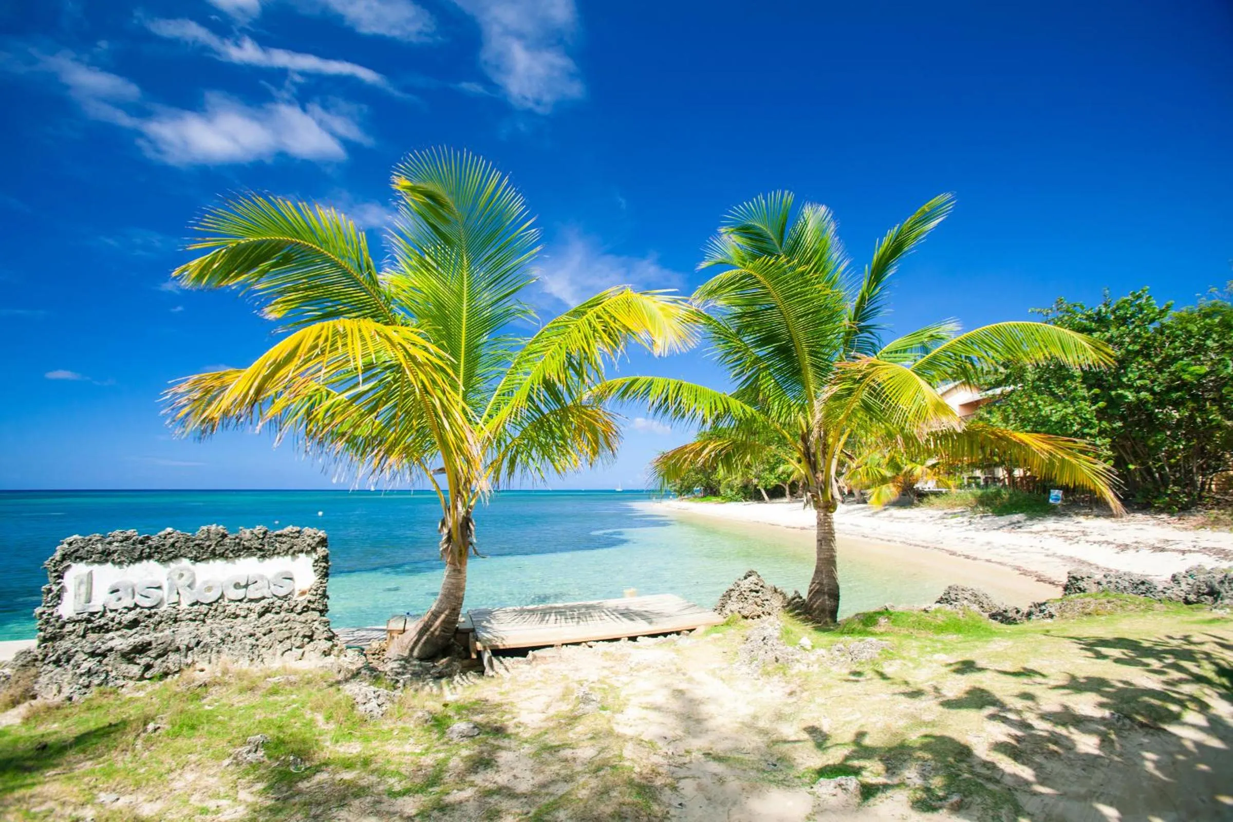 Day in Las Rocas Resort and Dive Center