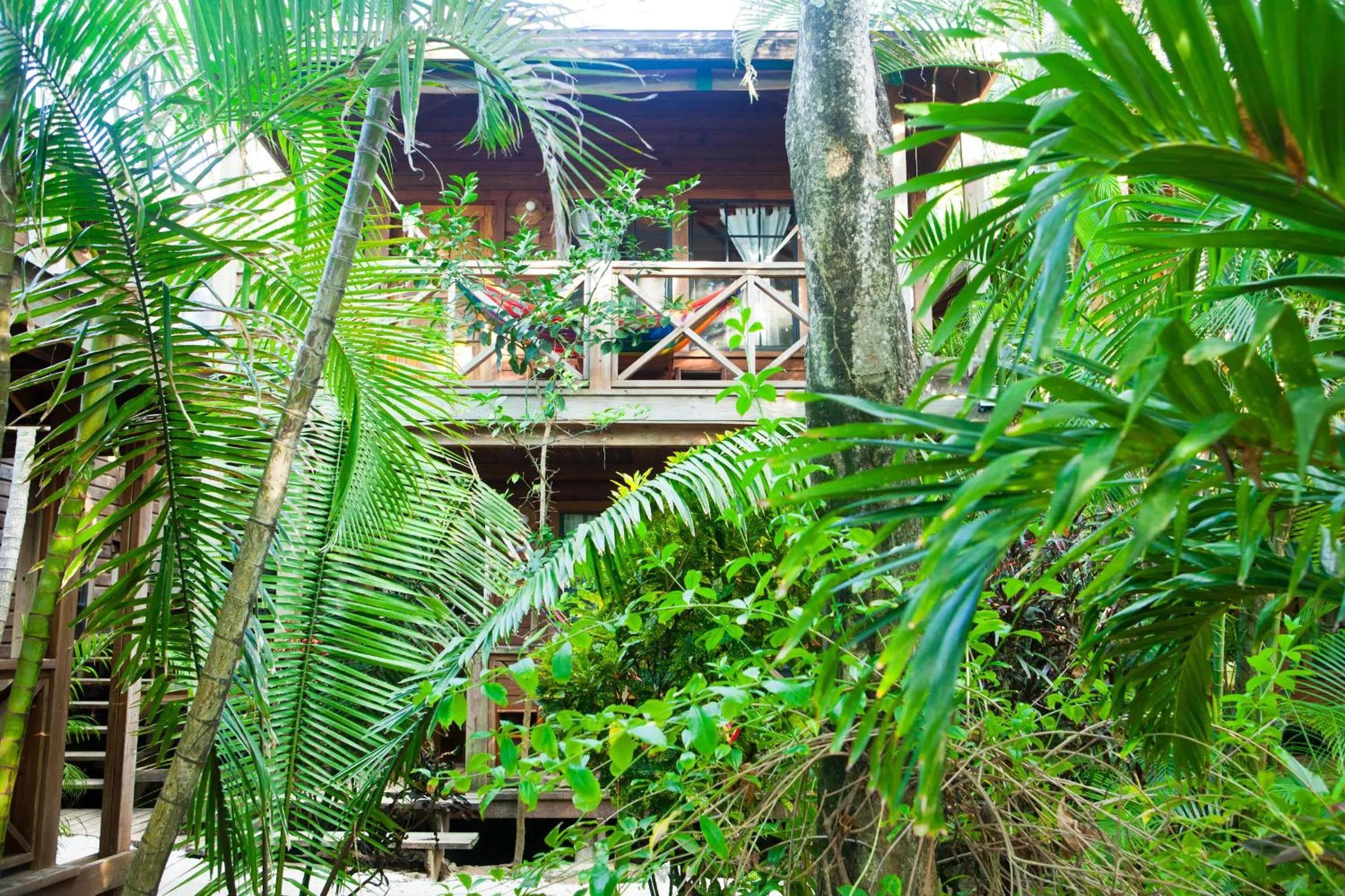 Day in Las Rocas Resort and Dive Center