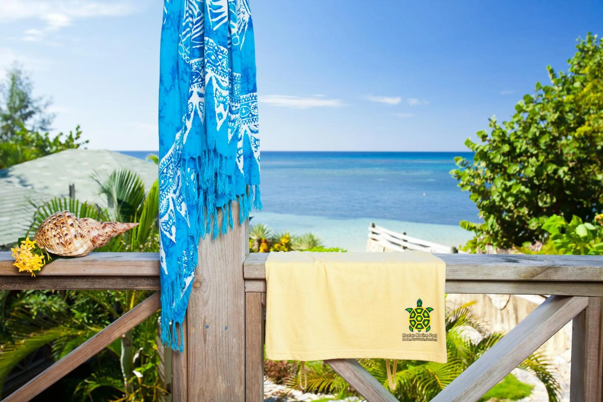 Day in Las Rocas Resort and Dive Center