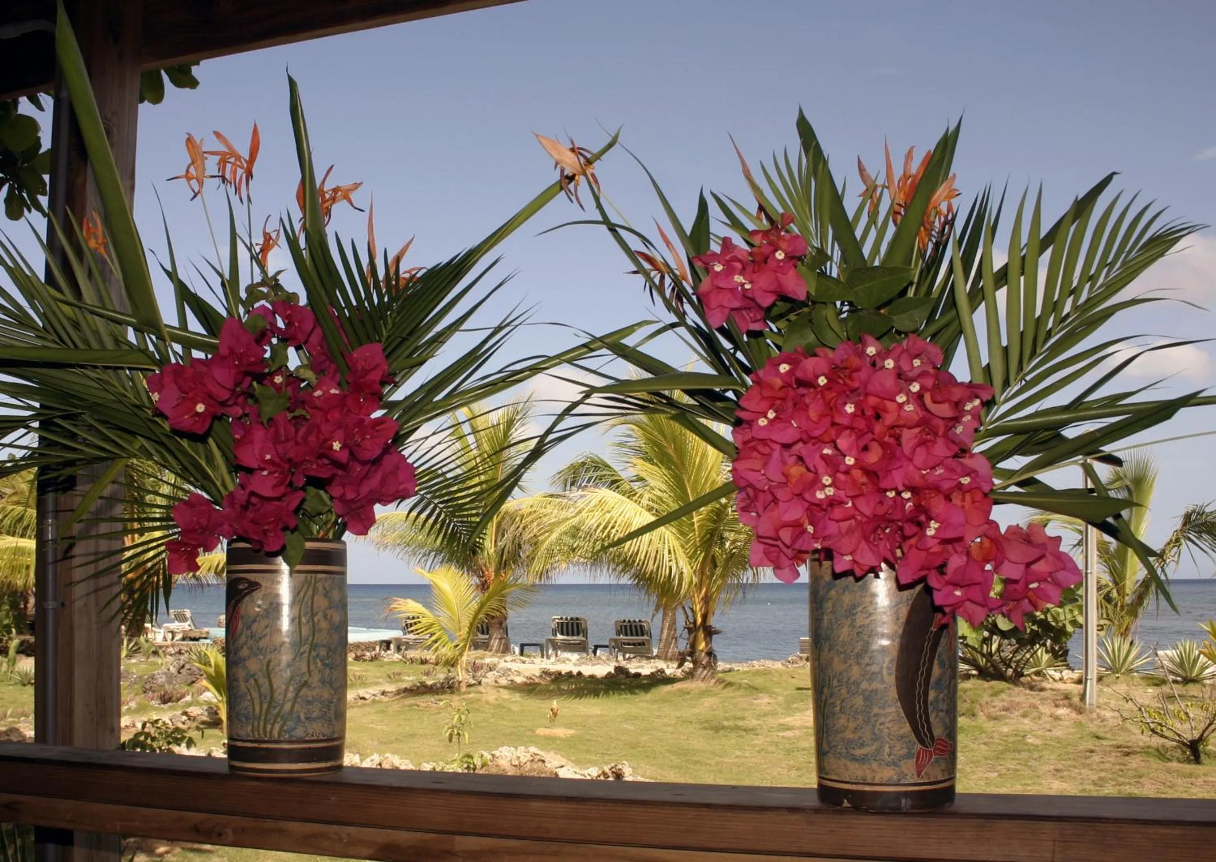 Day in Las Rocas Resort and Dive Center