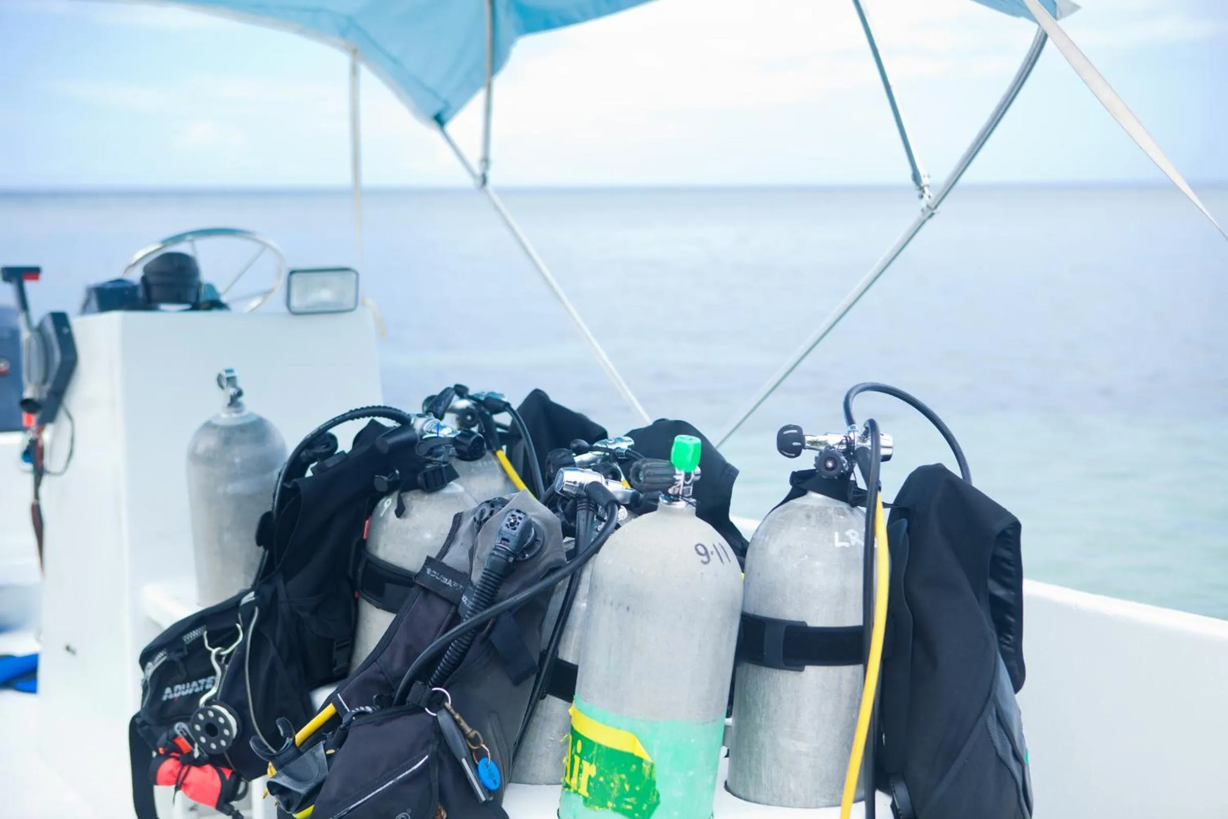 Day in Las Rocas Resort and Dive Center