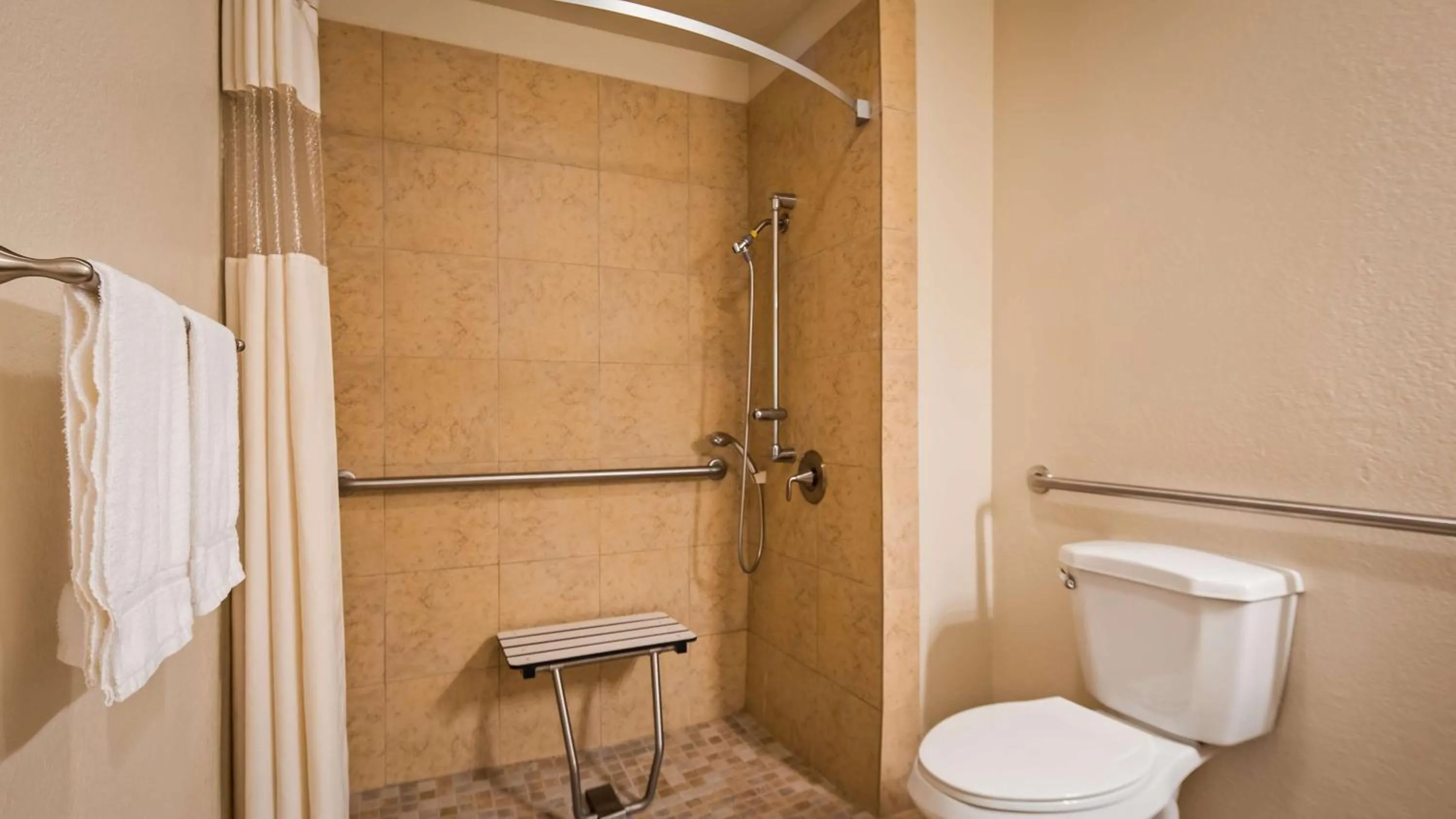 Bathroom in Best Western Palm Court Inn