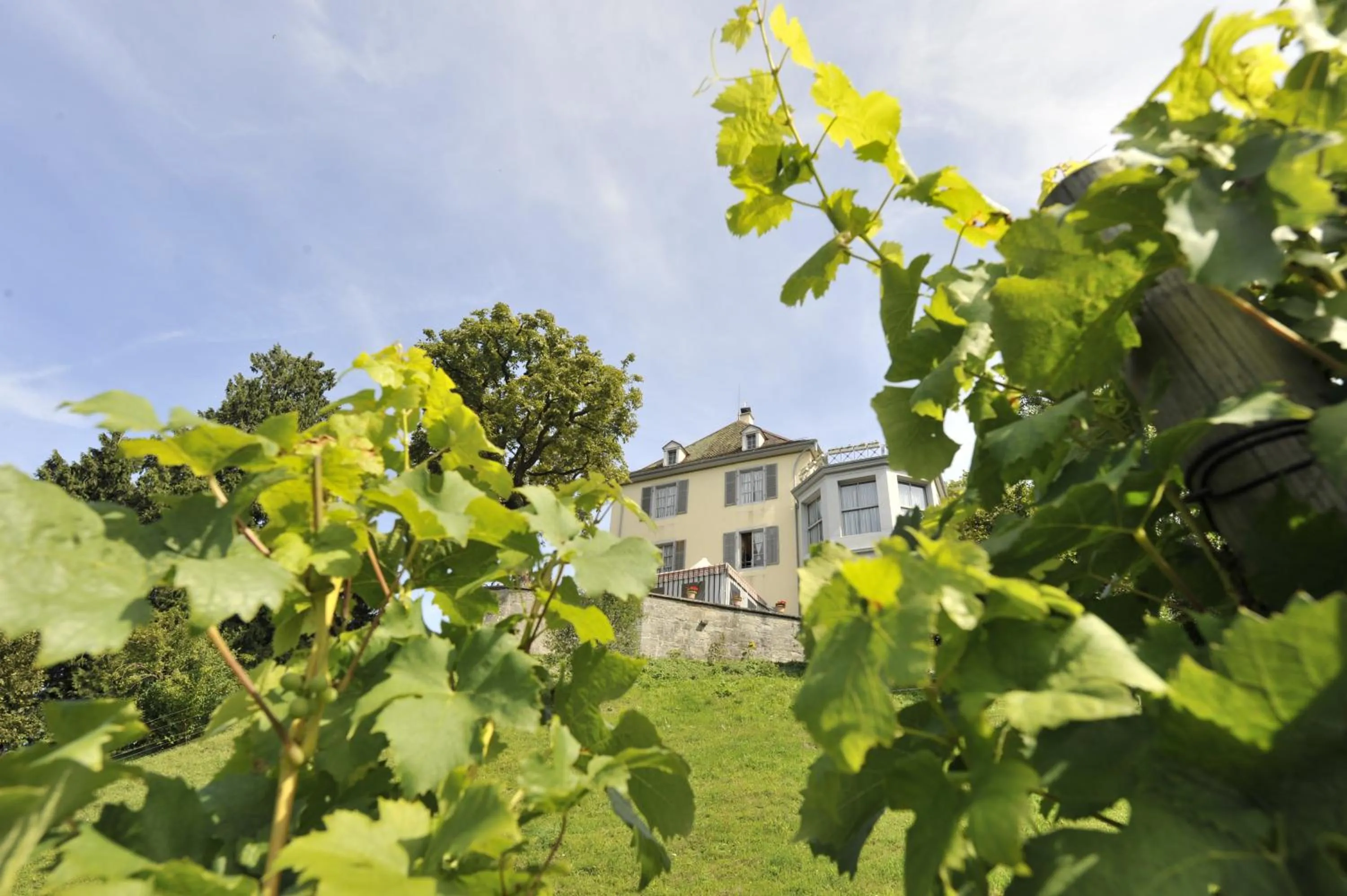 Garden in Hotel Arenenberg