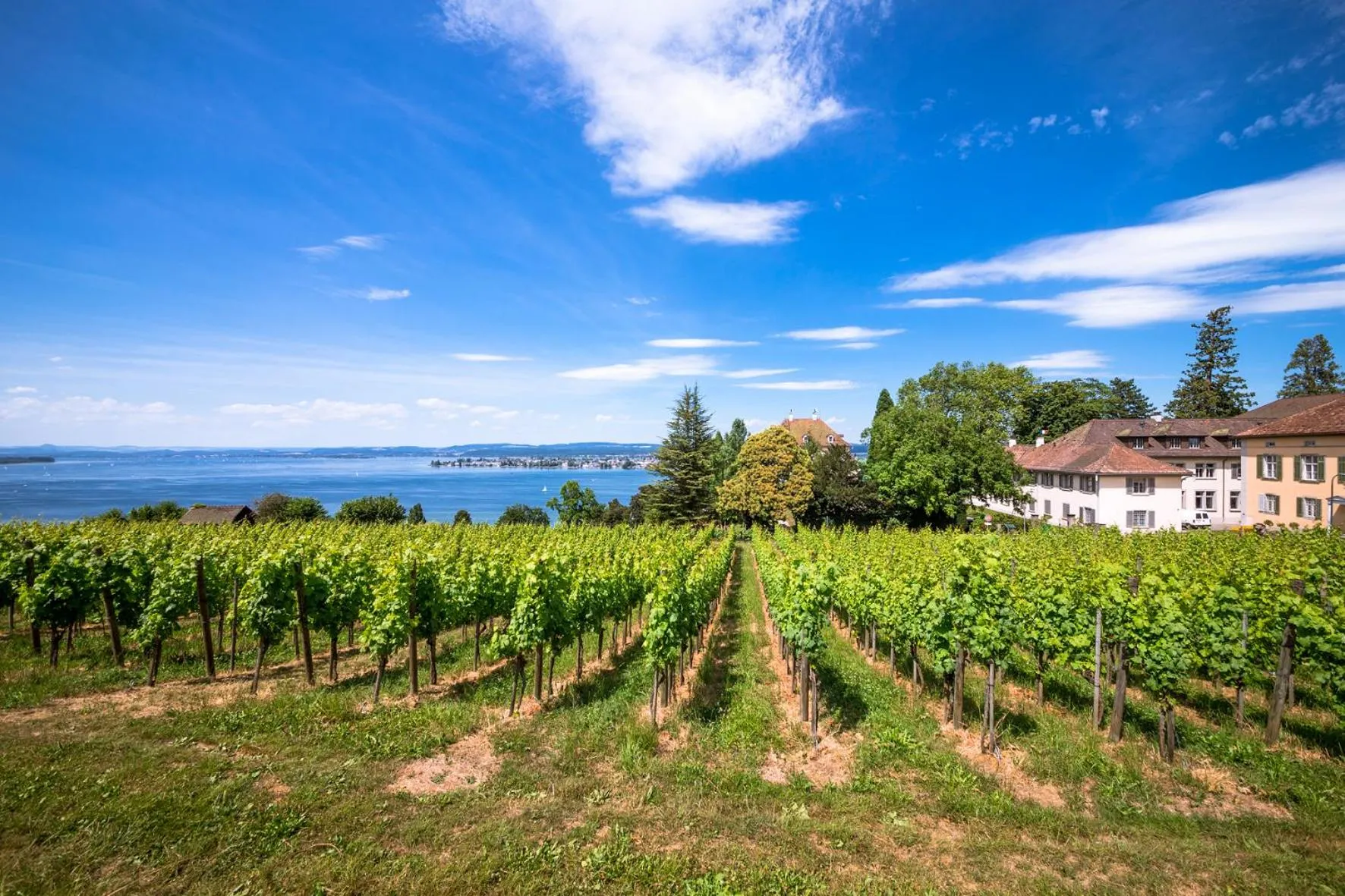 Natural landscape in Hotel Arenenberg