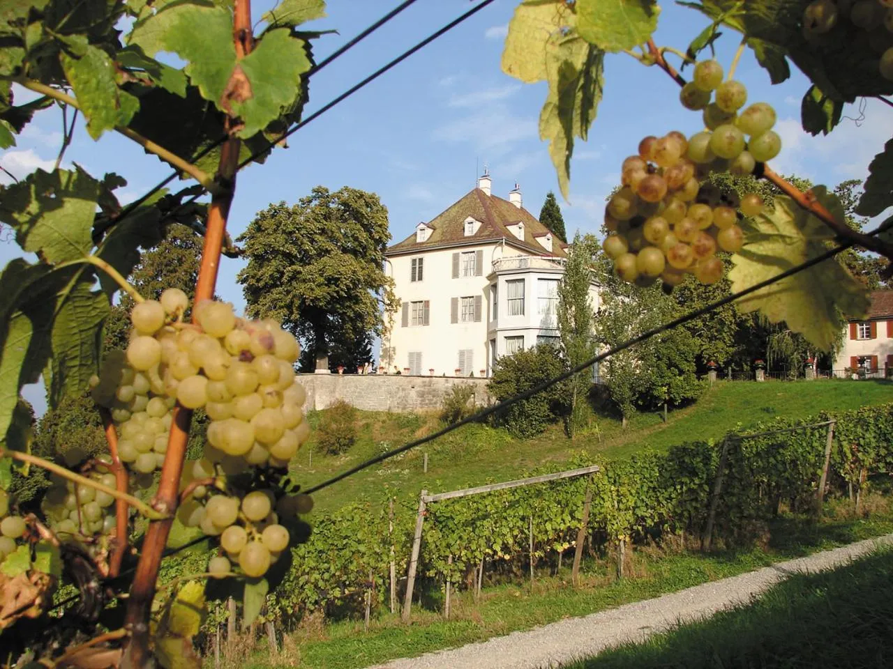 Nearby landmark in Hotel Arenenberg