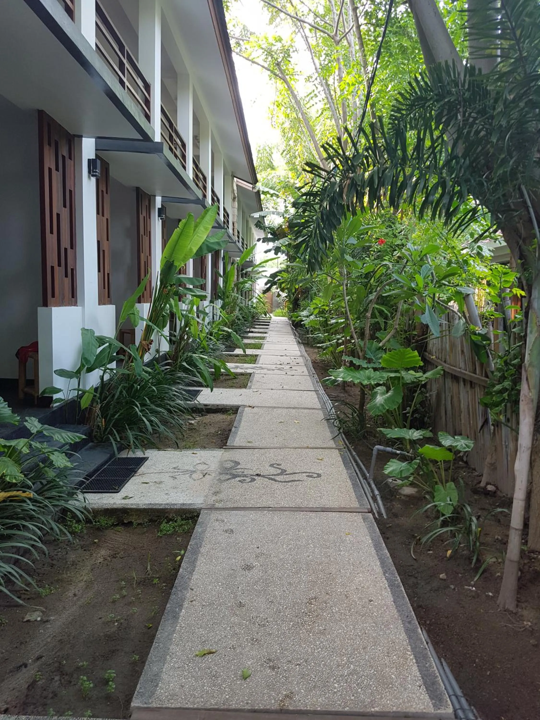 Garden in Dream Divers Resort