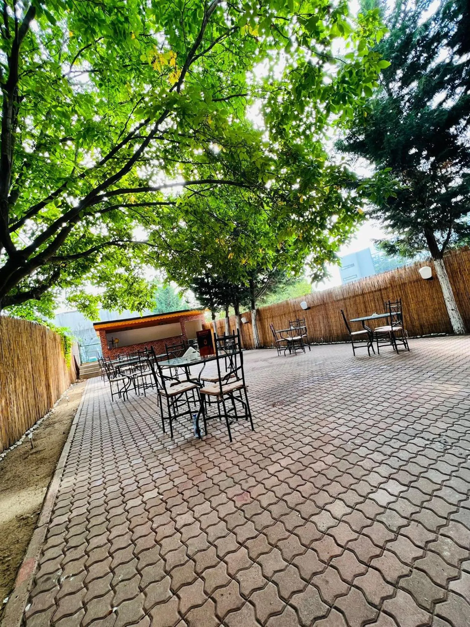 Balcony/Terrace in Hotel Bavaria