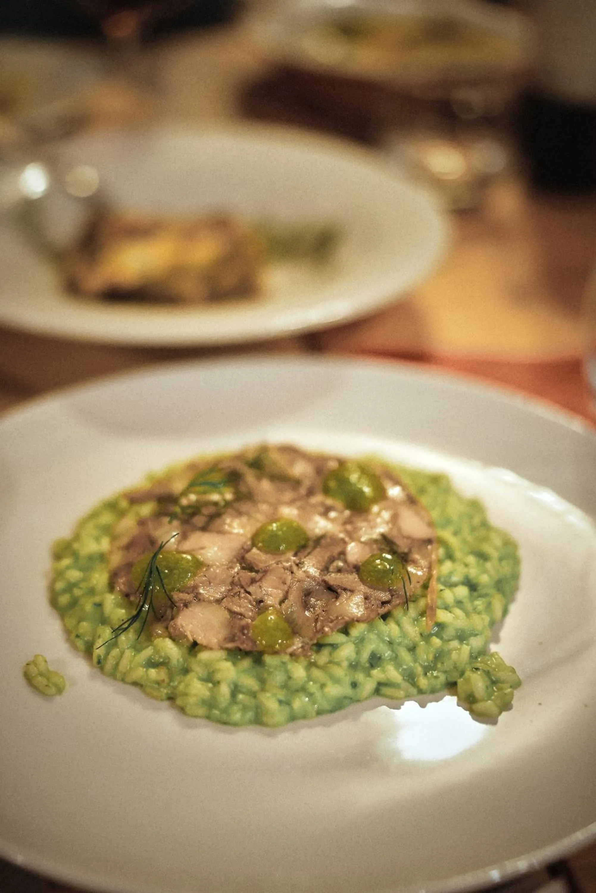 Albergo Meublè Vecchio Scarpone