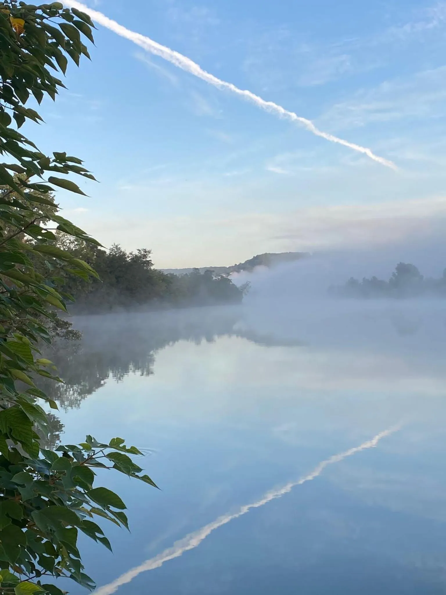View (from property/room) in Chez Jan et Nicole - Gite Toulouse