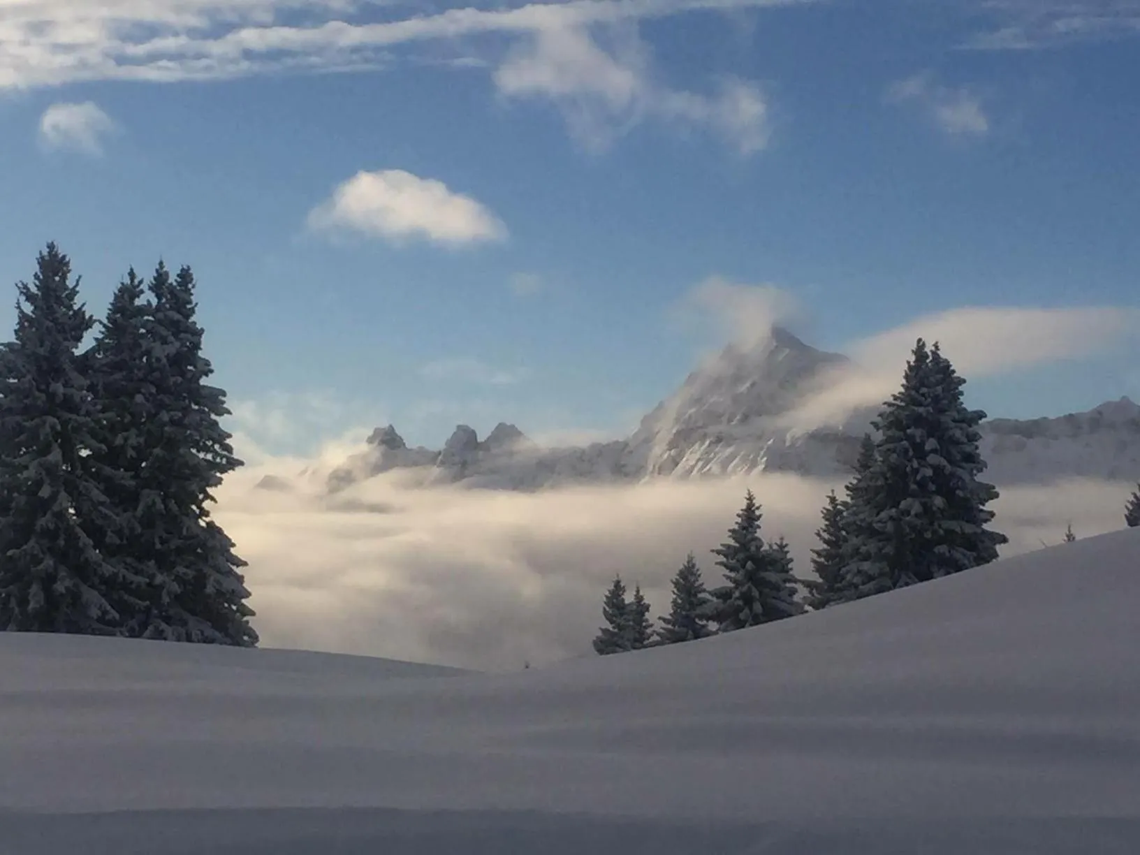 Area and facilities in Le Caprice Des Neiges