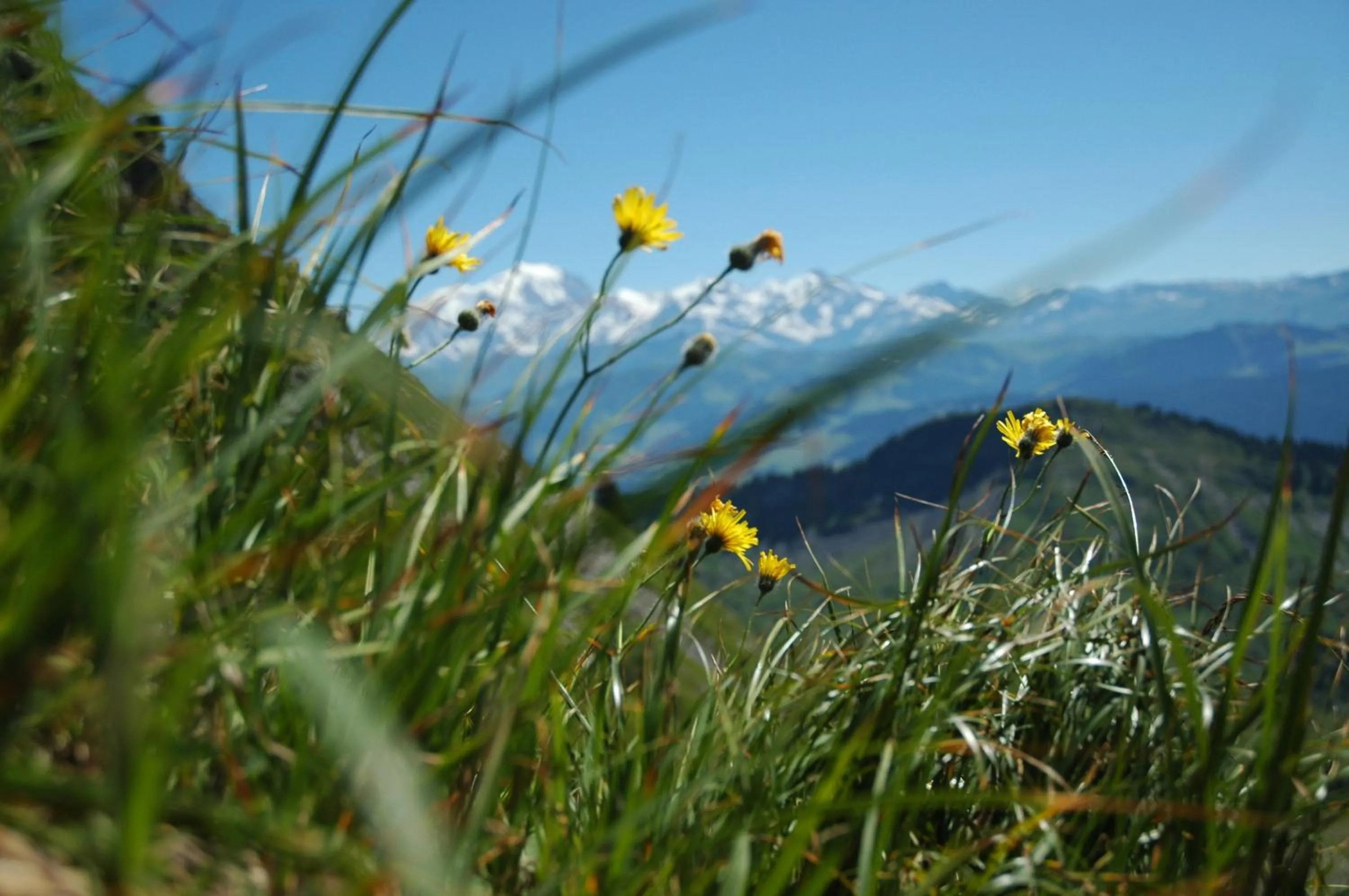 Summer in Le Caprice Des Neiges