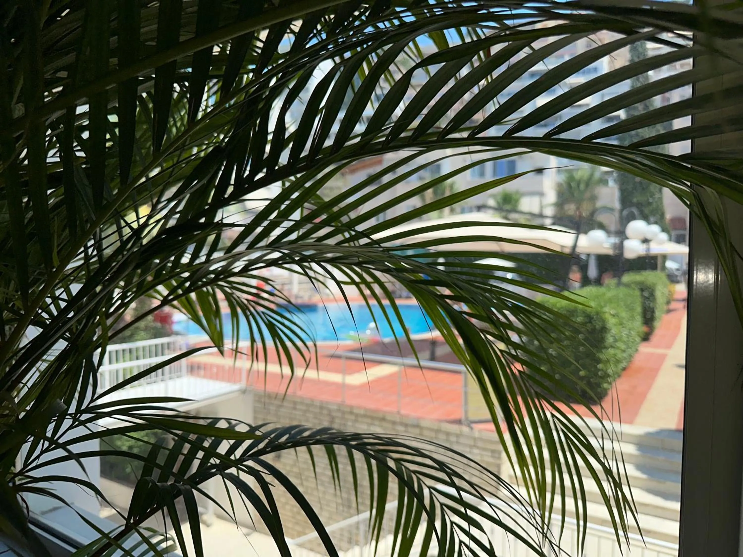 Swimming pool in Vila Duraku