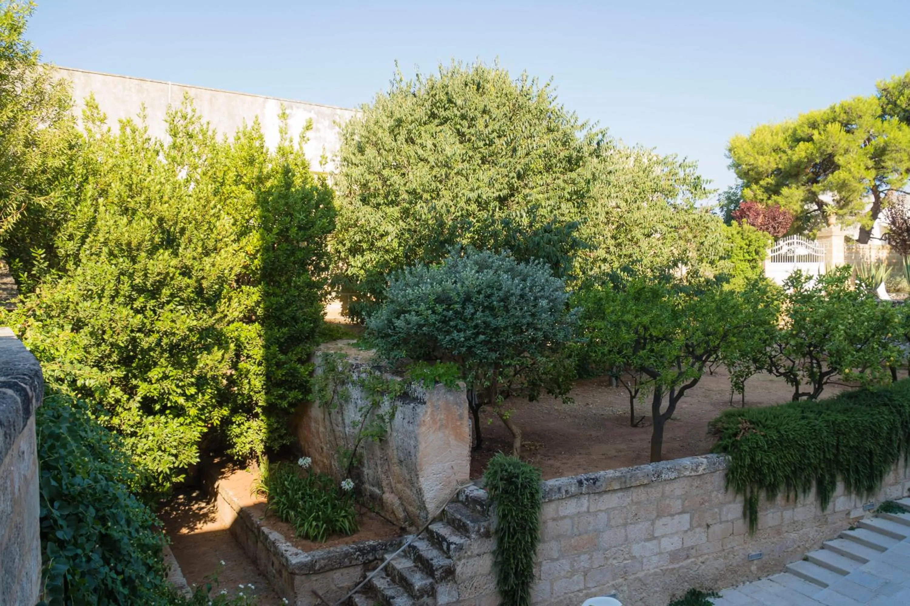 Garden in Villa Romasi