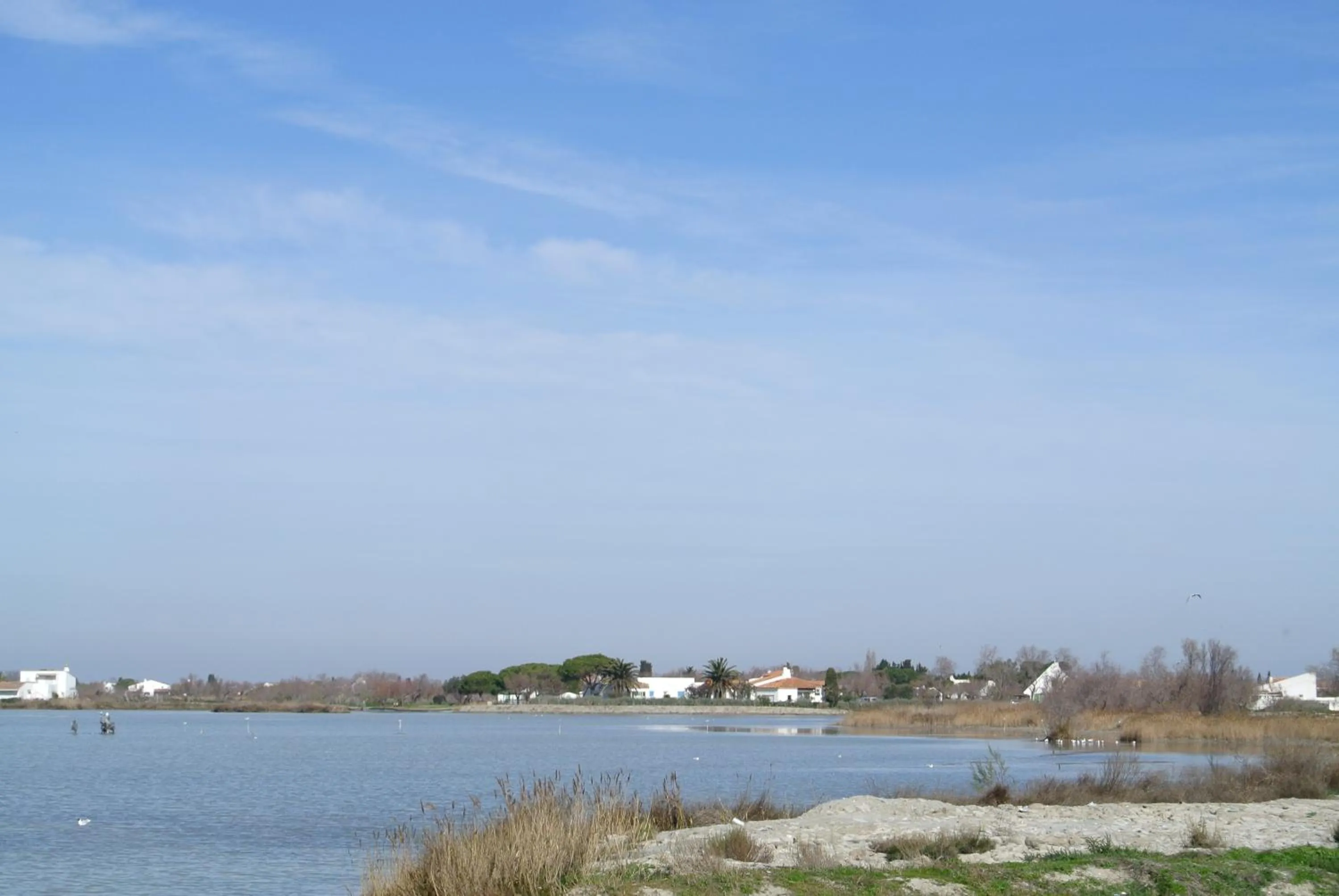 Area and facilities in Hotel Les Palmiers En Camargue