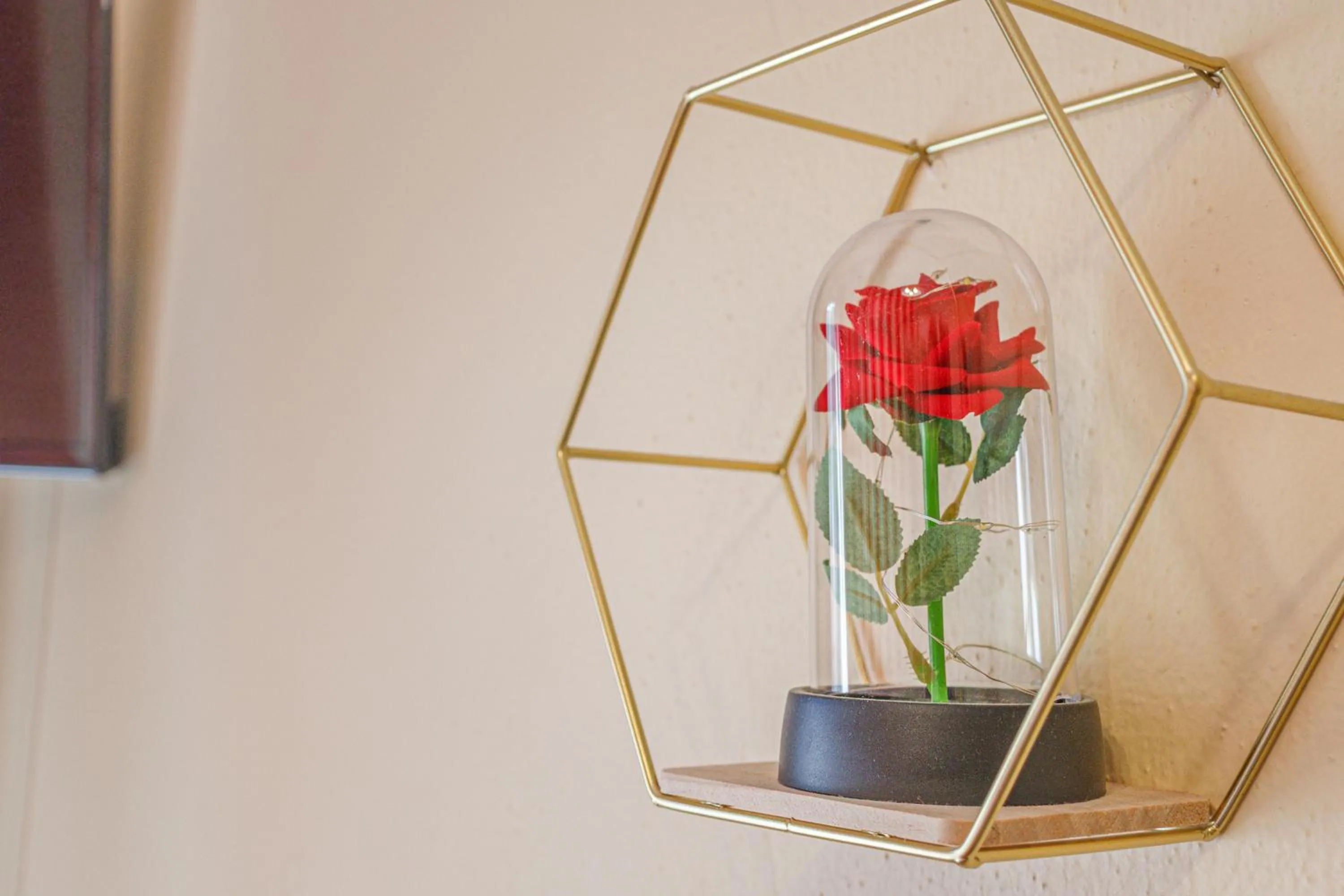 OPERA et LOVE - 200m dall'Arena con convenzione per Parcheggio e Colazione in pasticceria adiacente