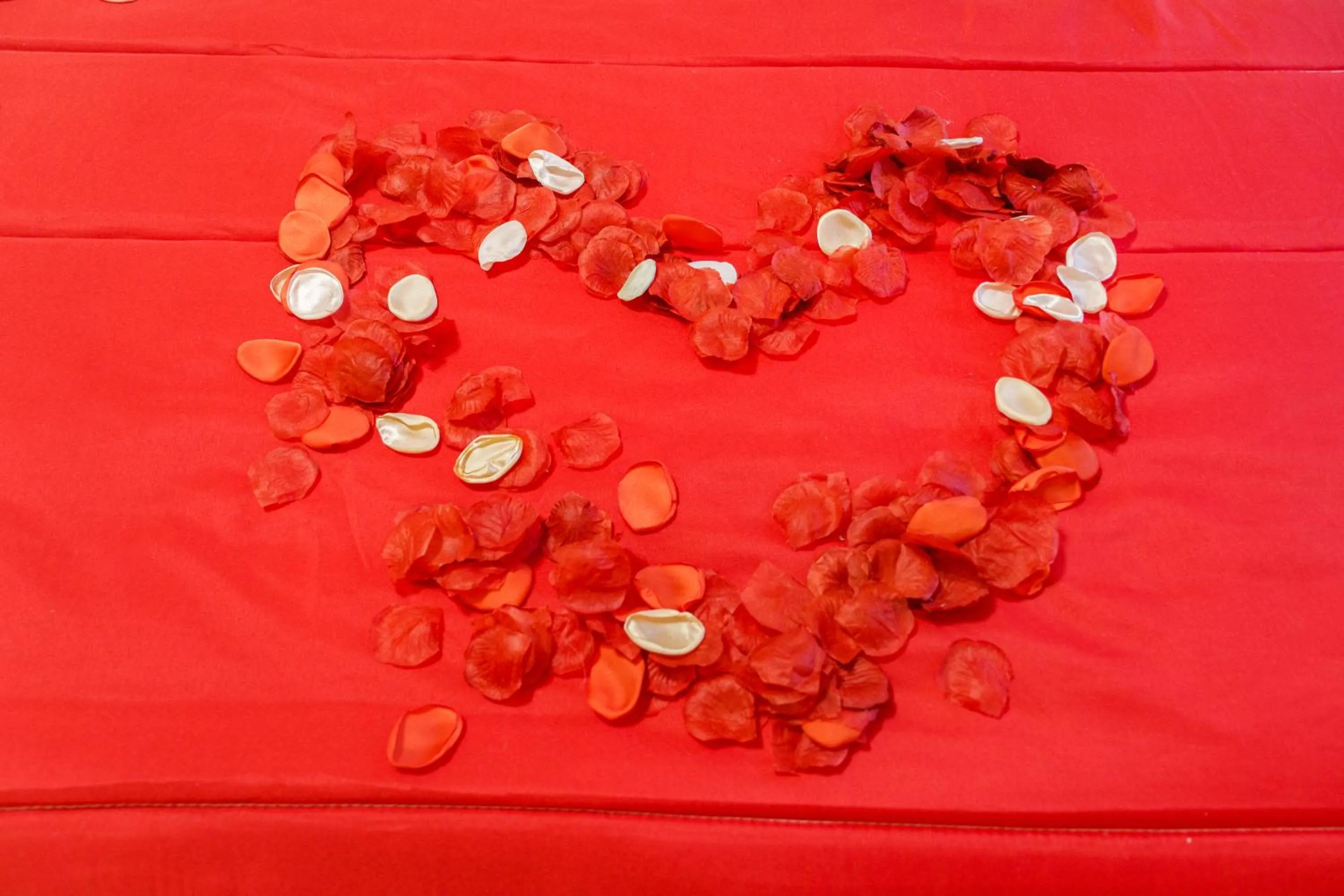 OPERA et LOVE - 200m dall'Arena con convenzione per Parcheggio e Colazione in pasticceria adiacente