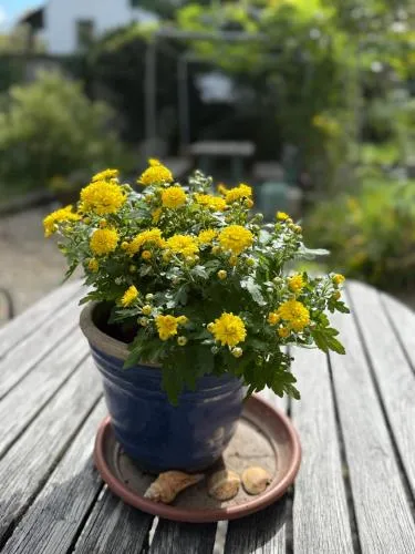 Gästehaus Sonne