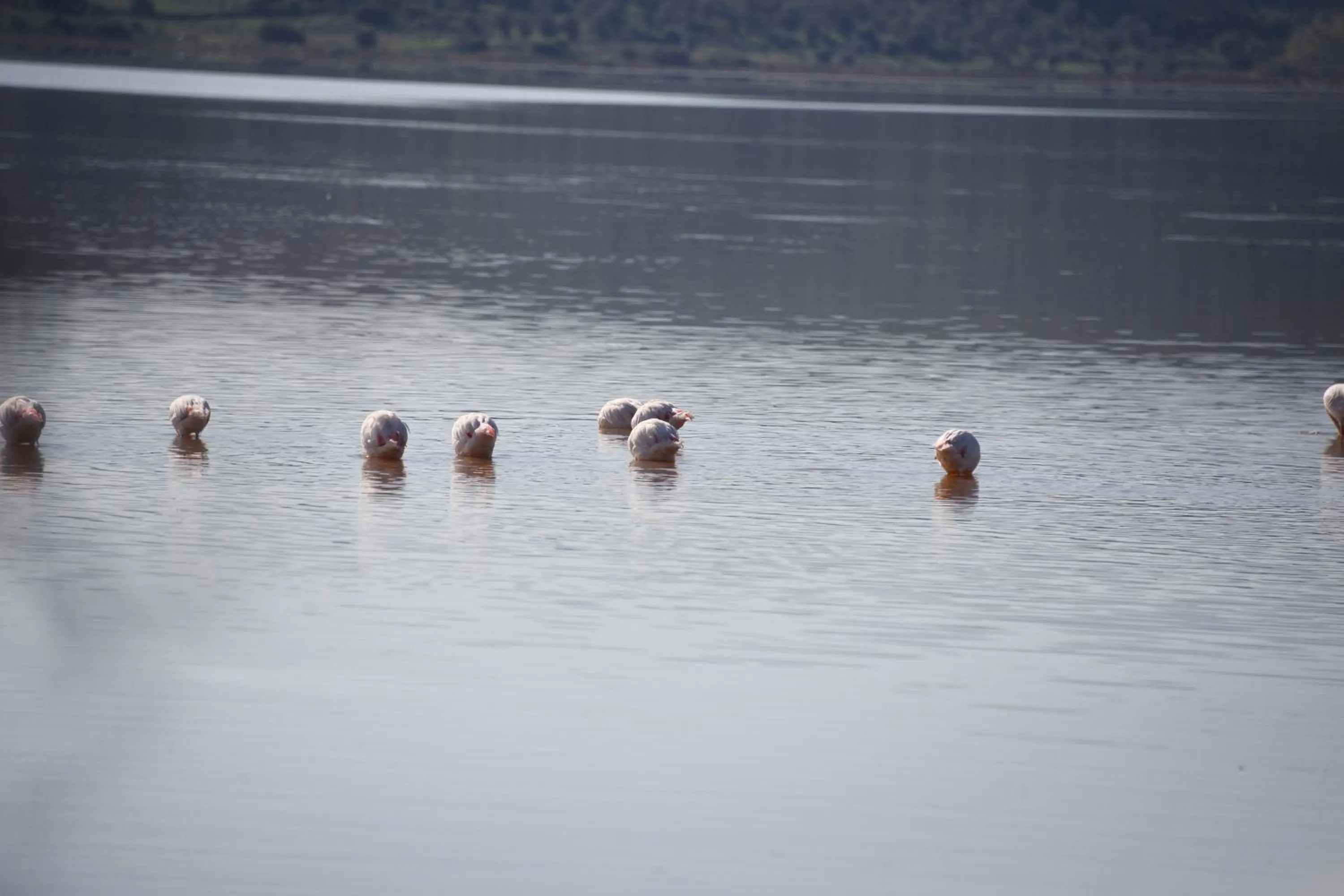 Natural landscape in Yalicapkini Boutique Hotel