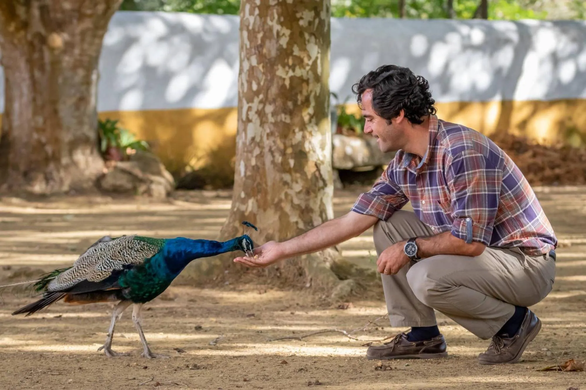 Animals in Quinta da Foz