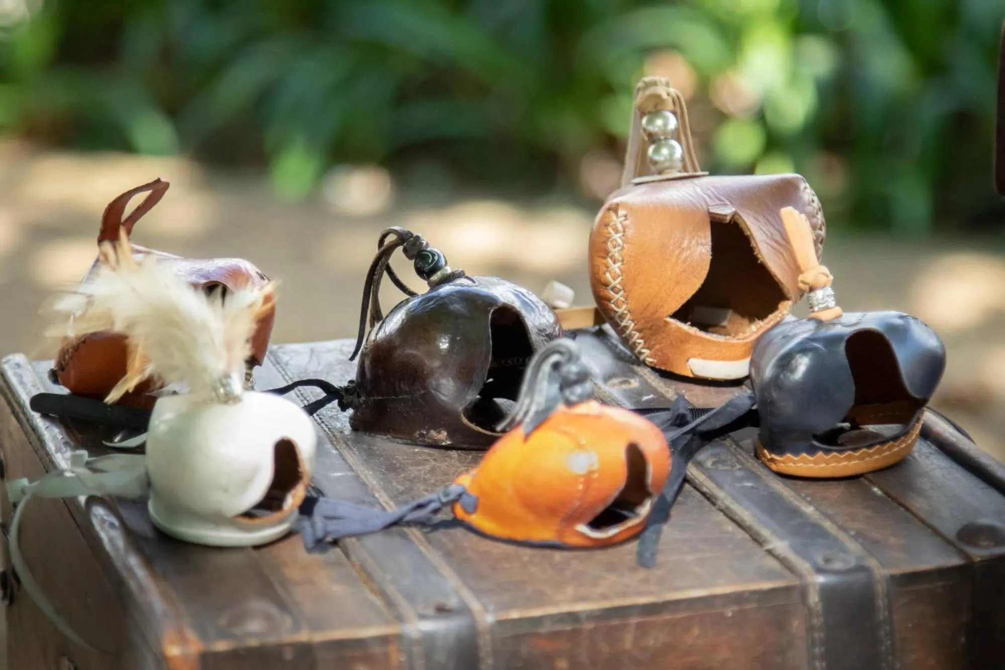 Activities in Quinta da Foz