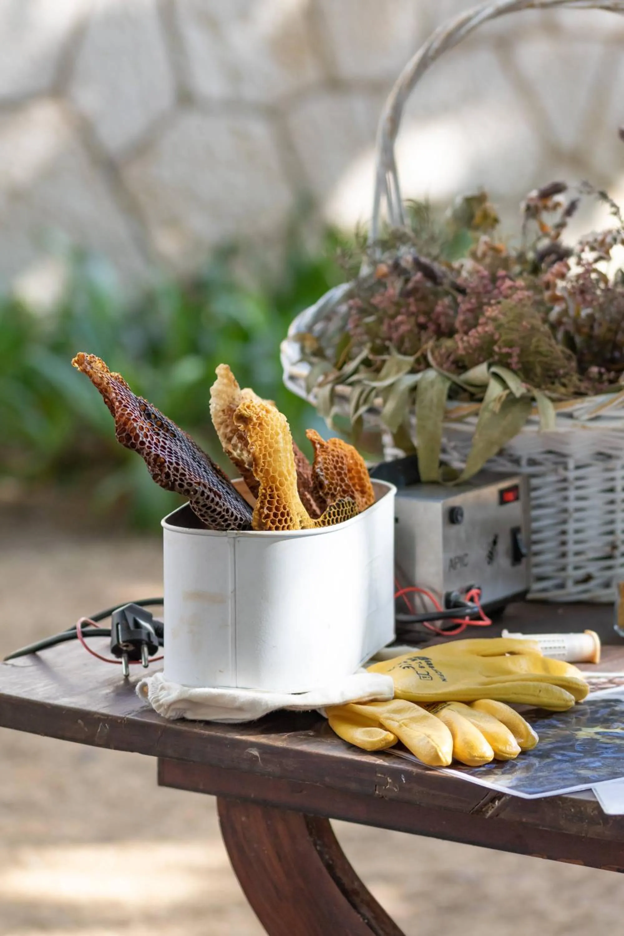 Activities in Quinta da Foz