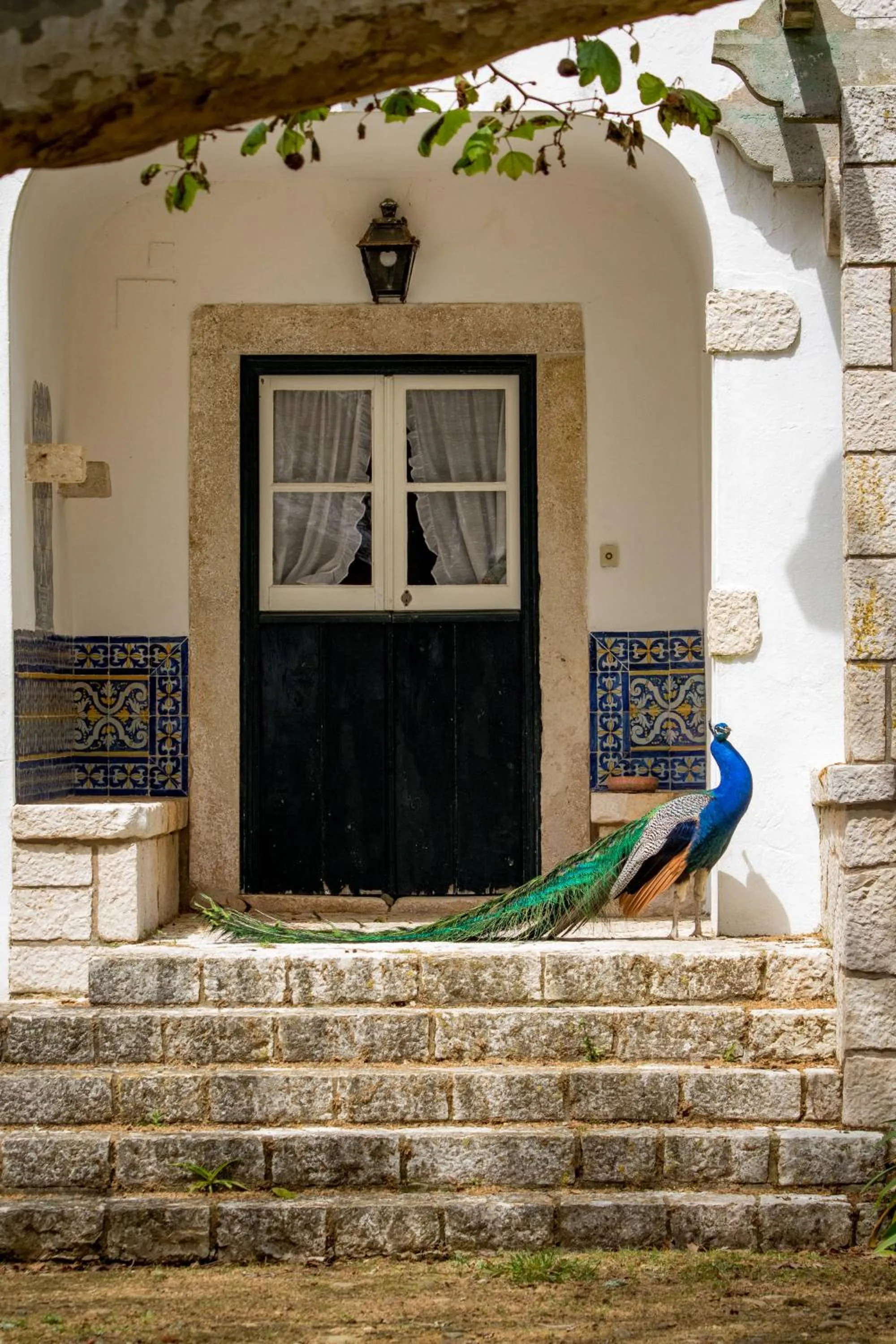 Property building in Quinta da Foz