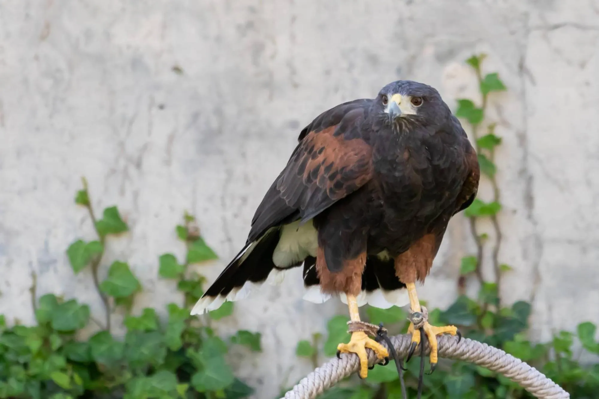 Activities in Quinta da Foz