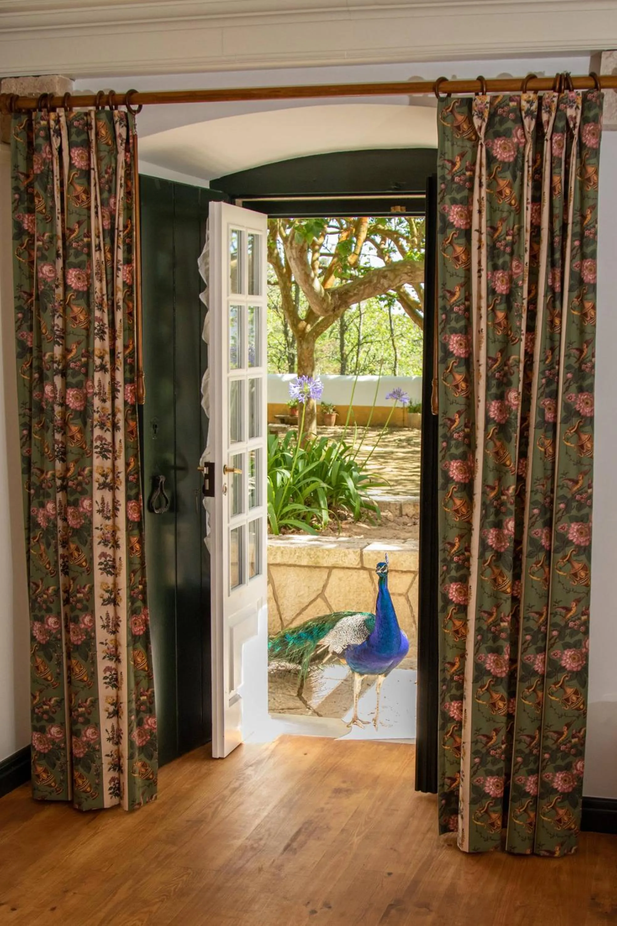 Garden view in Quinta da Foz