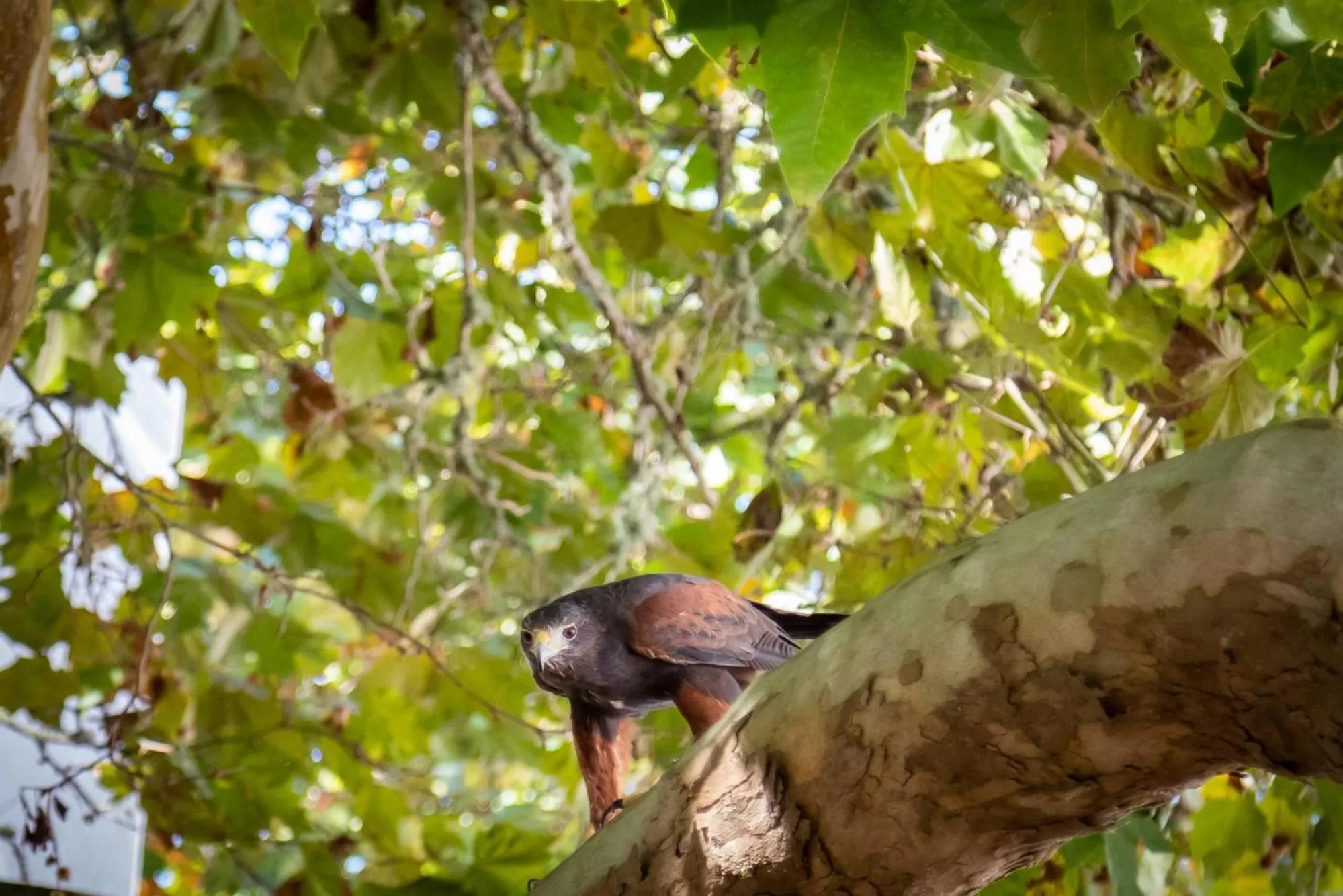 Activities in Quinta da Foz