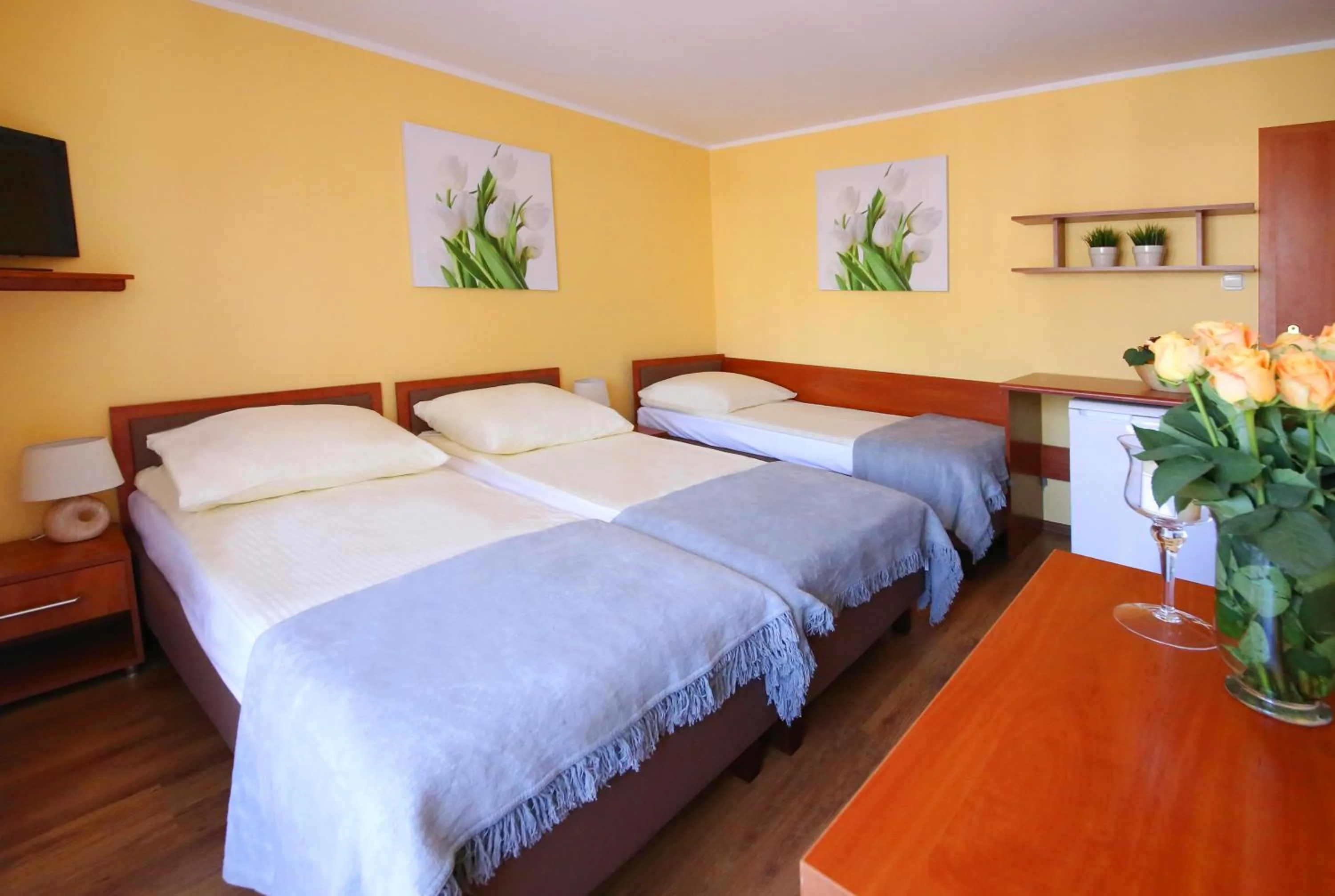 Photo of the whole room in Willa Mona