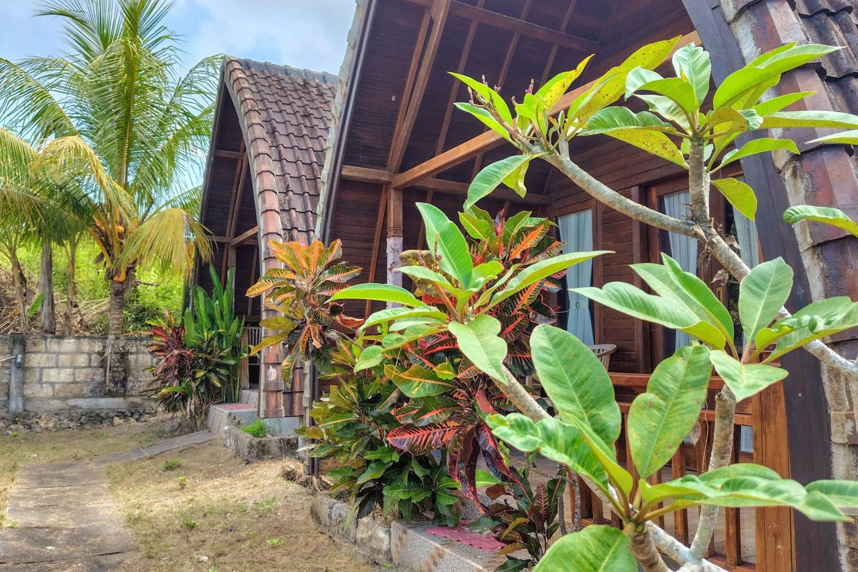 Garden in The Sweet Corn Bungalow