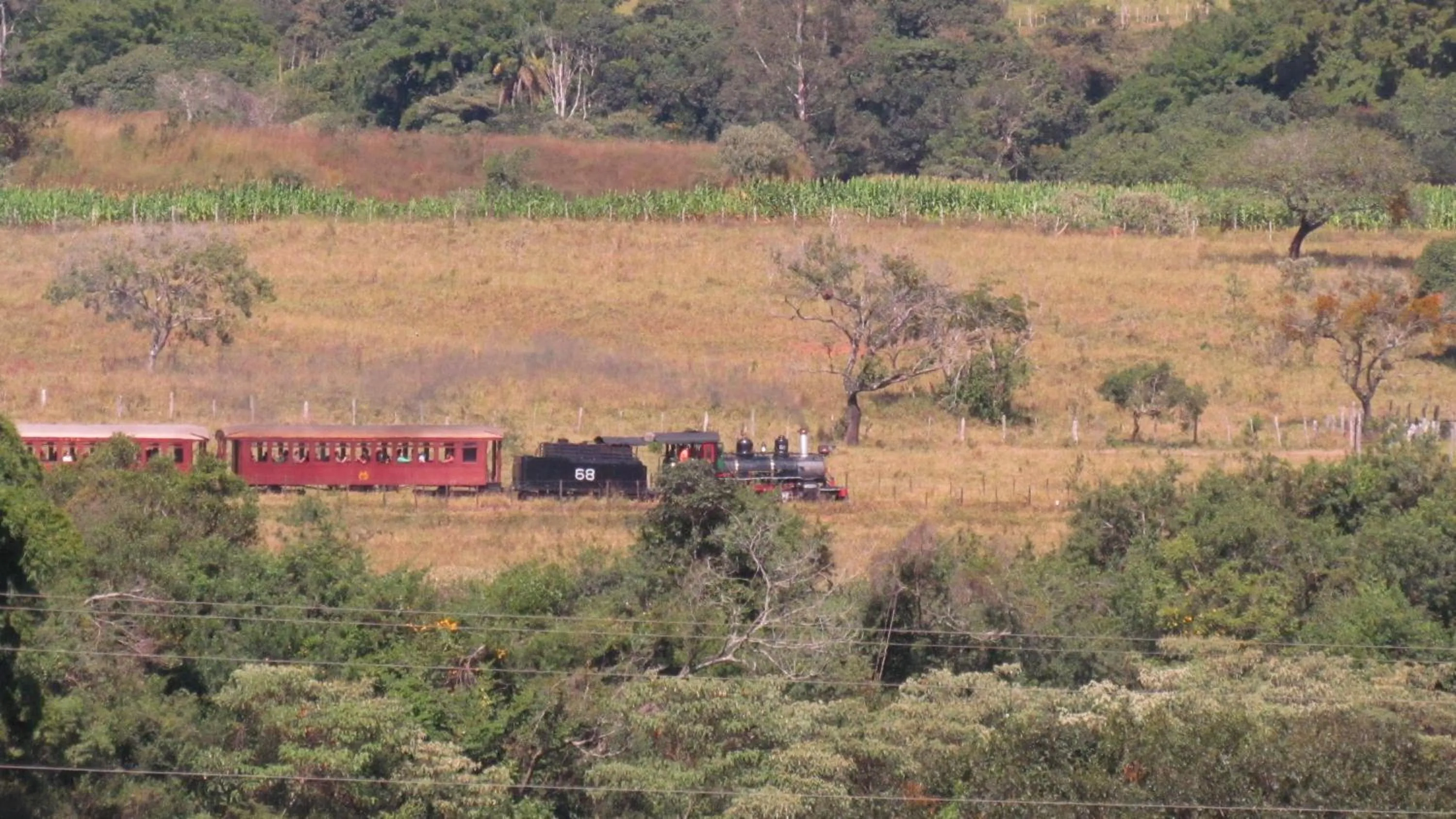 Garden in Pousada Cantares