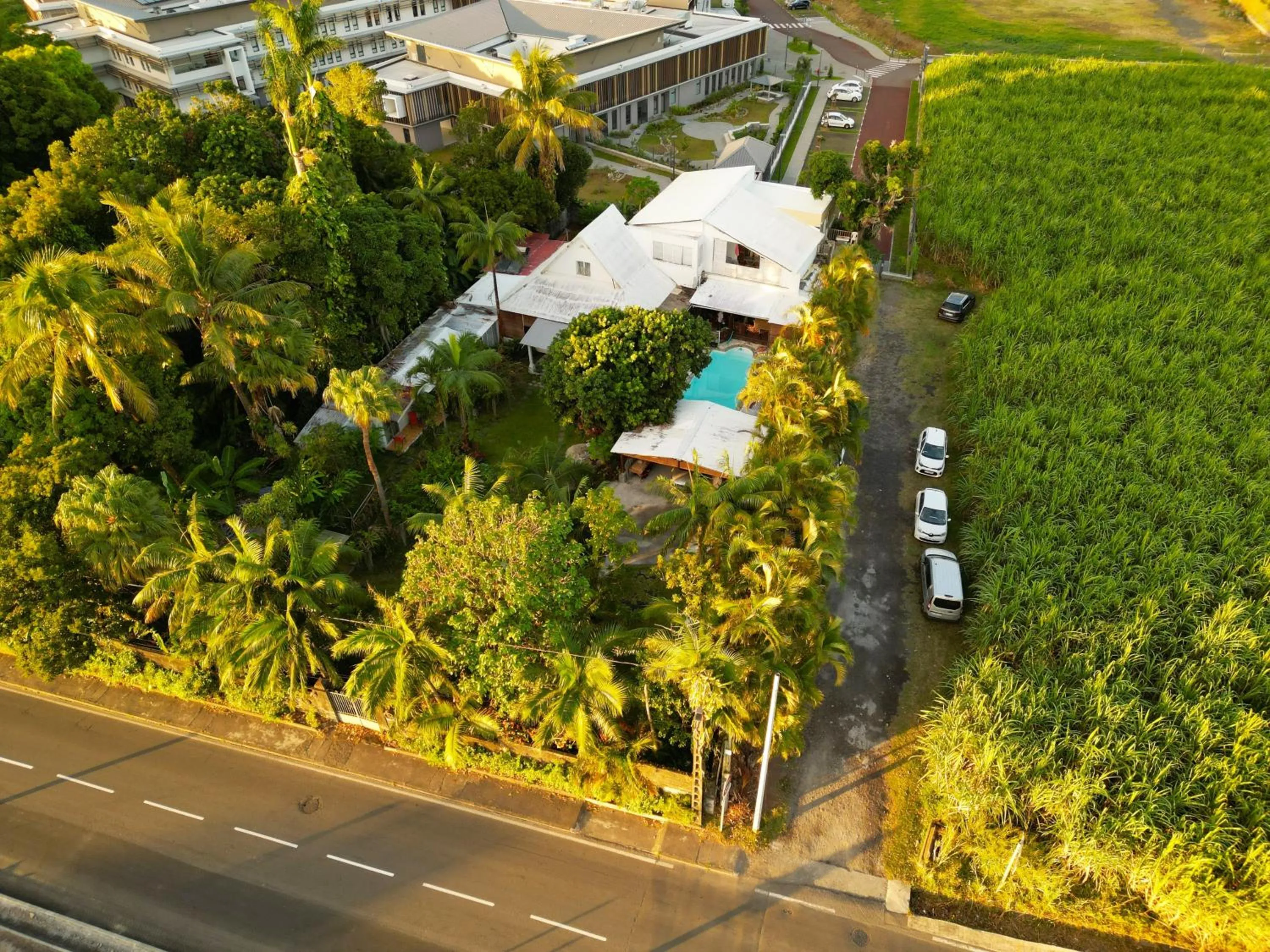 Bird's eye view in LE MEDINILLA