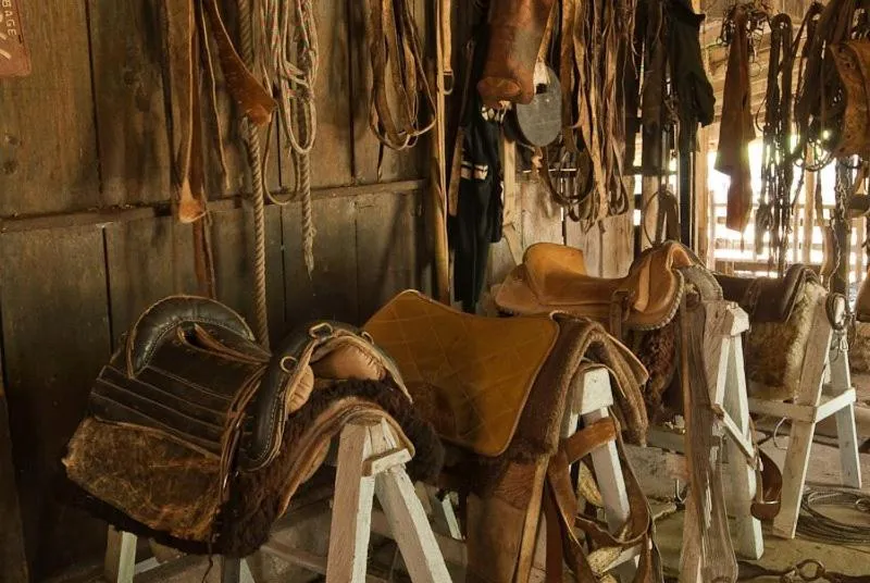 Pousada Chácara das Roseiras