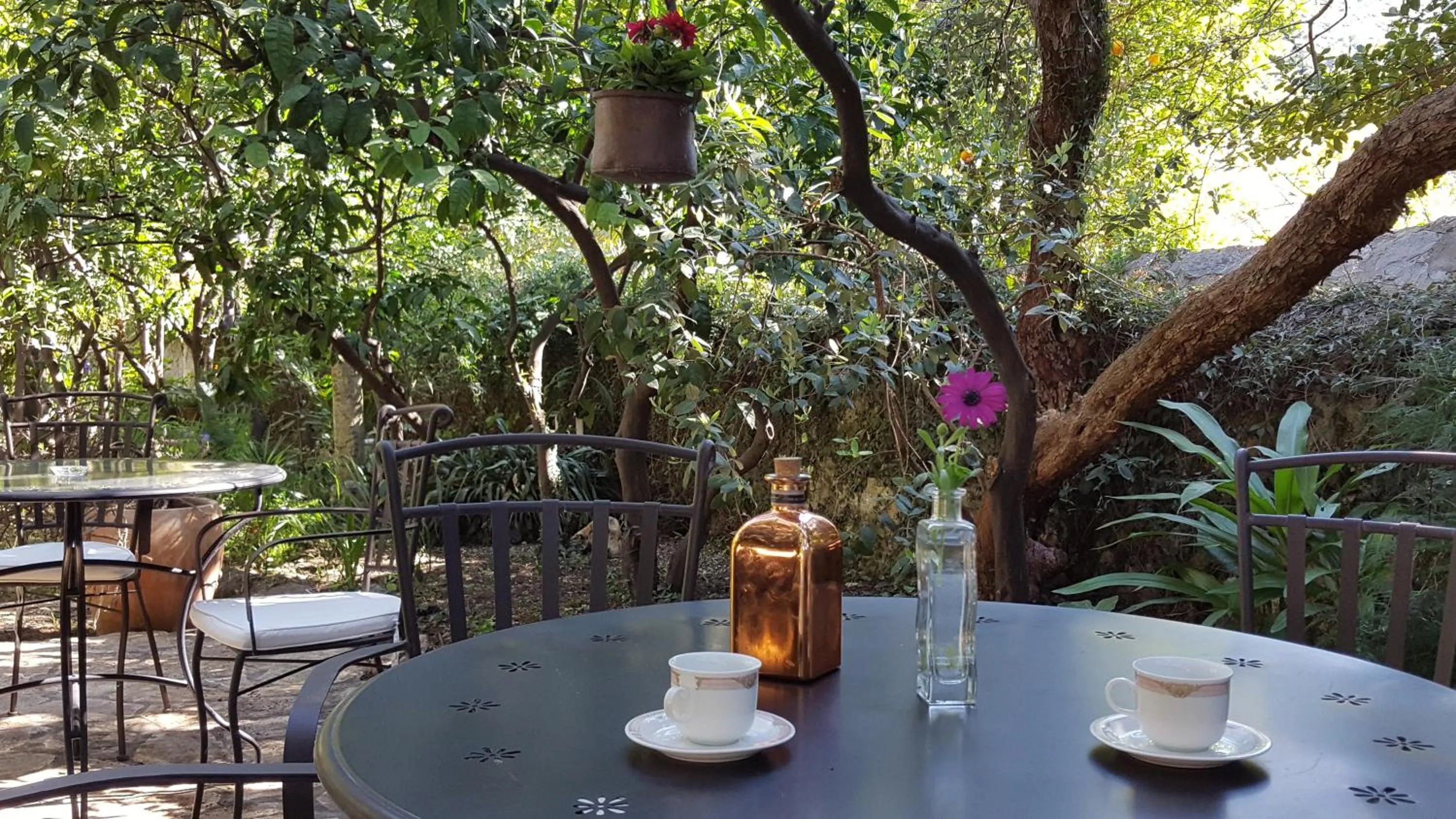 Patio in Turtle Apartments