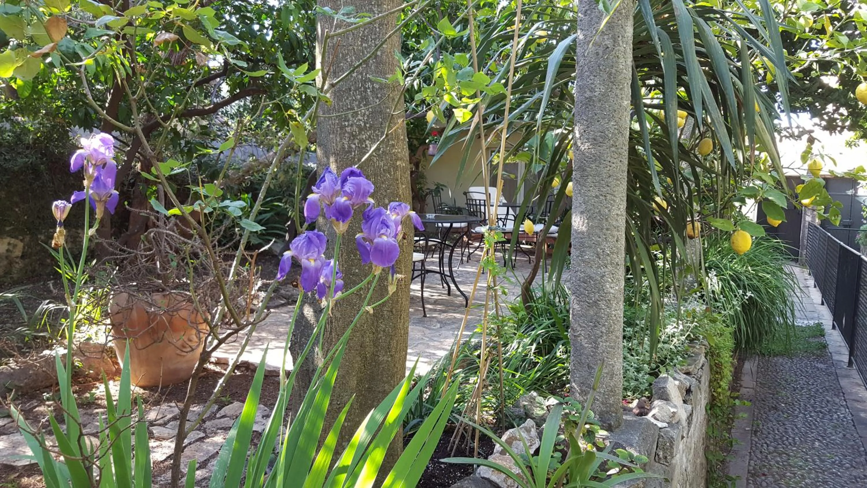 Patio in Turtle Apartments