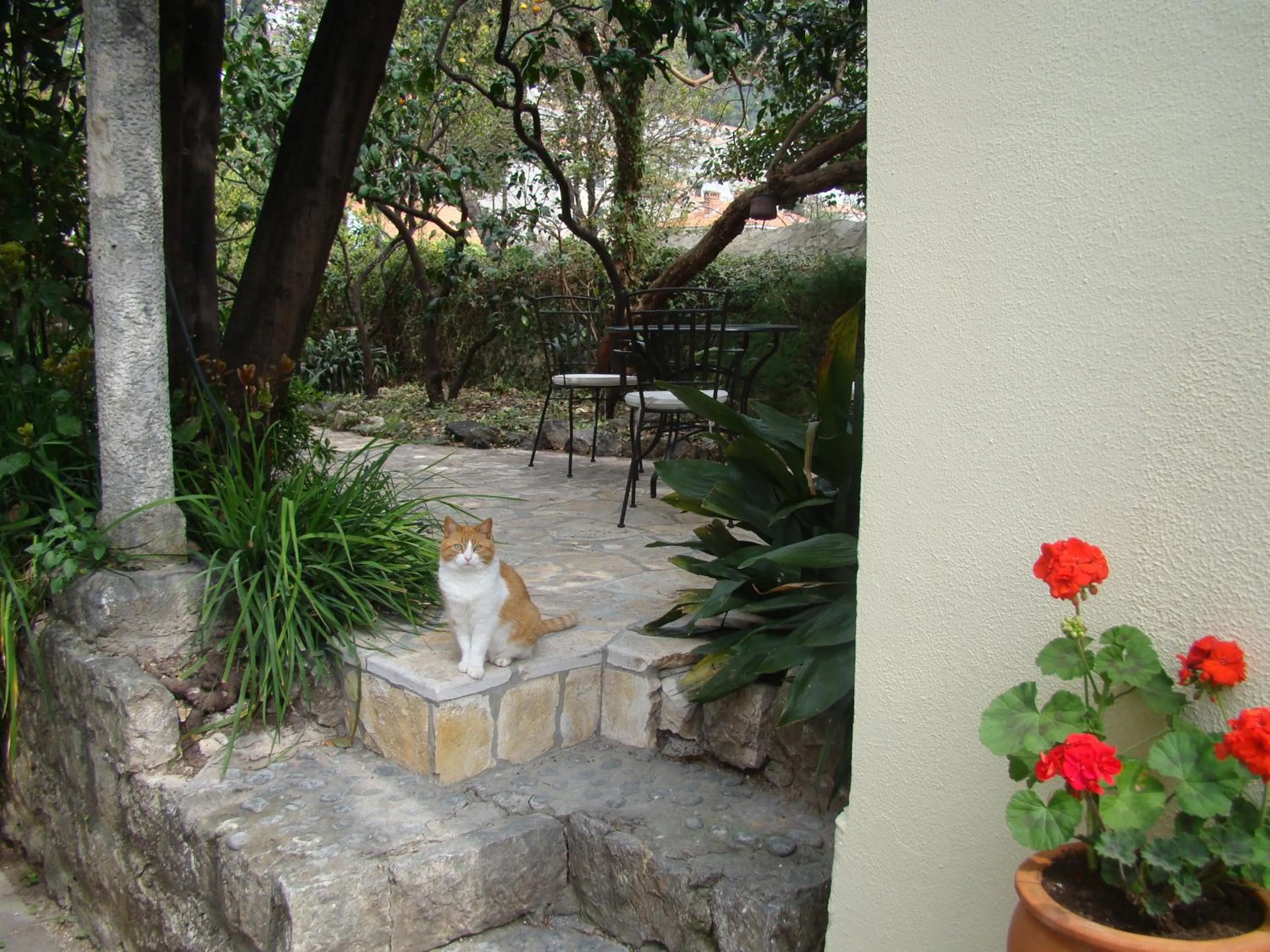 Patio in Turtle Apartments