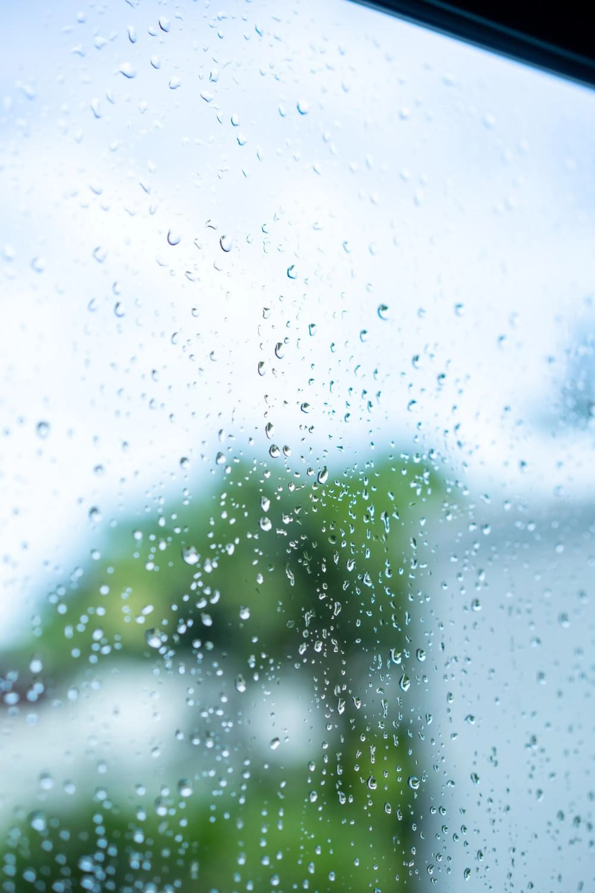 Garden view in Layantara Villas