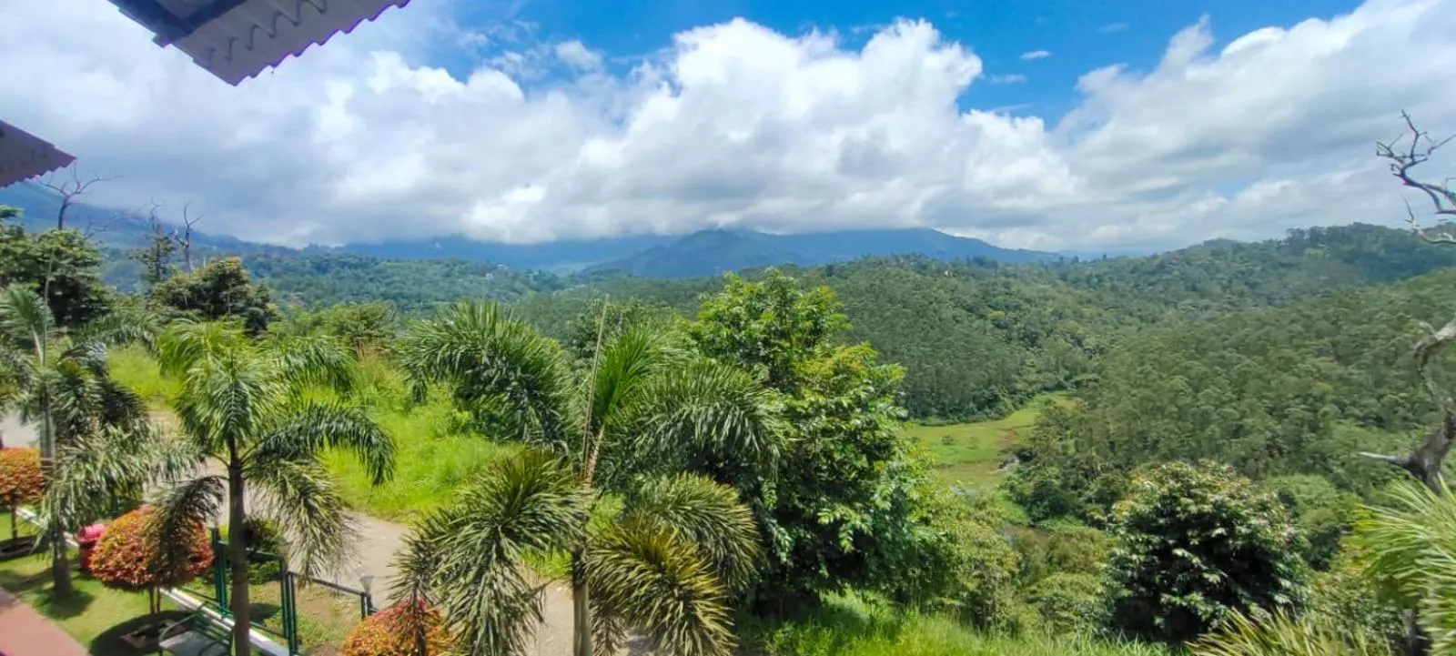 Natural landscape in The Lake View Munnar