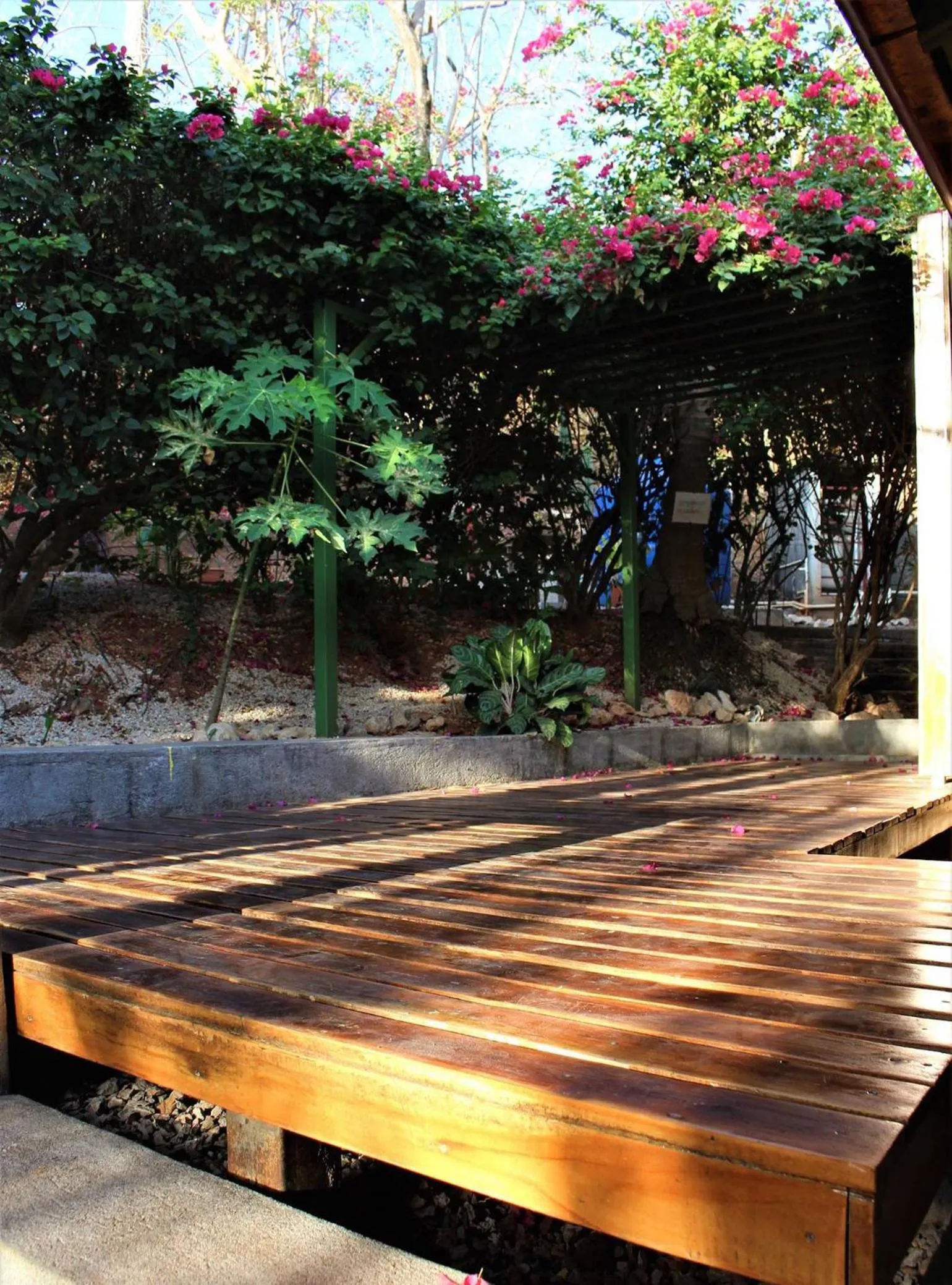 Patio in Indra Inn