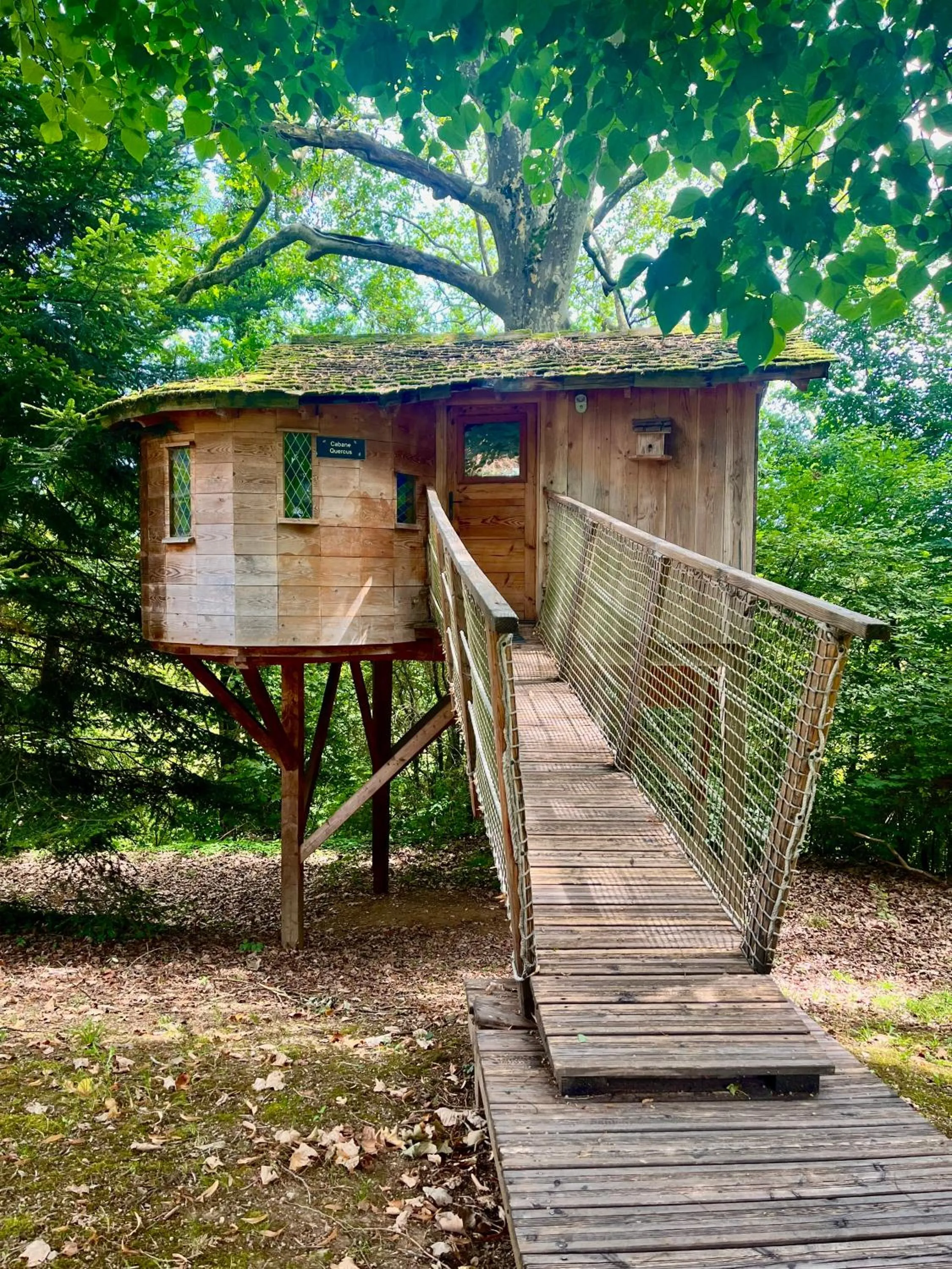 Natural landscape in Château de La Dame Blanche - Logis