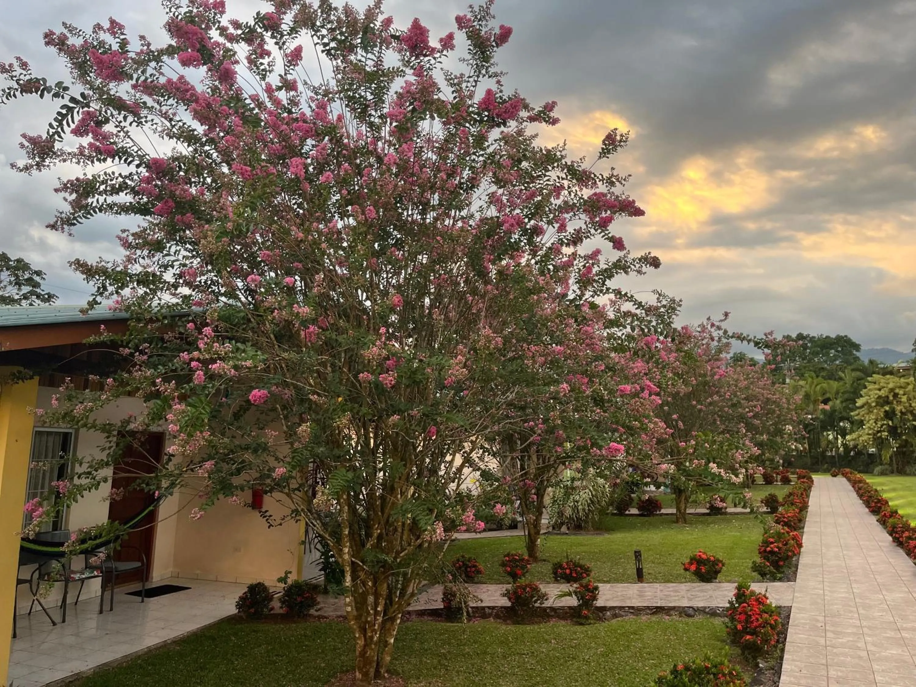 Garden in Hotel Villas Vilma