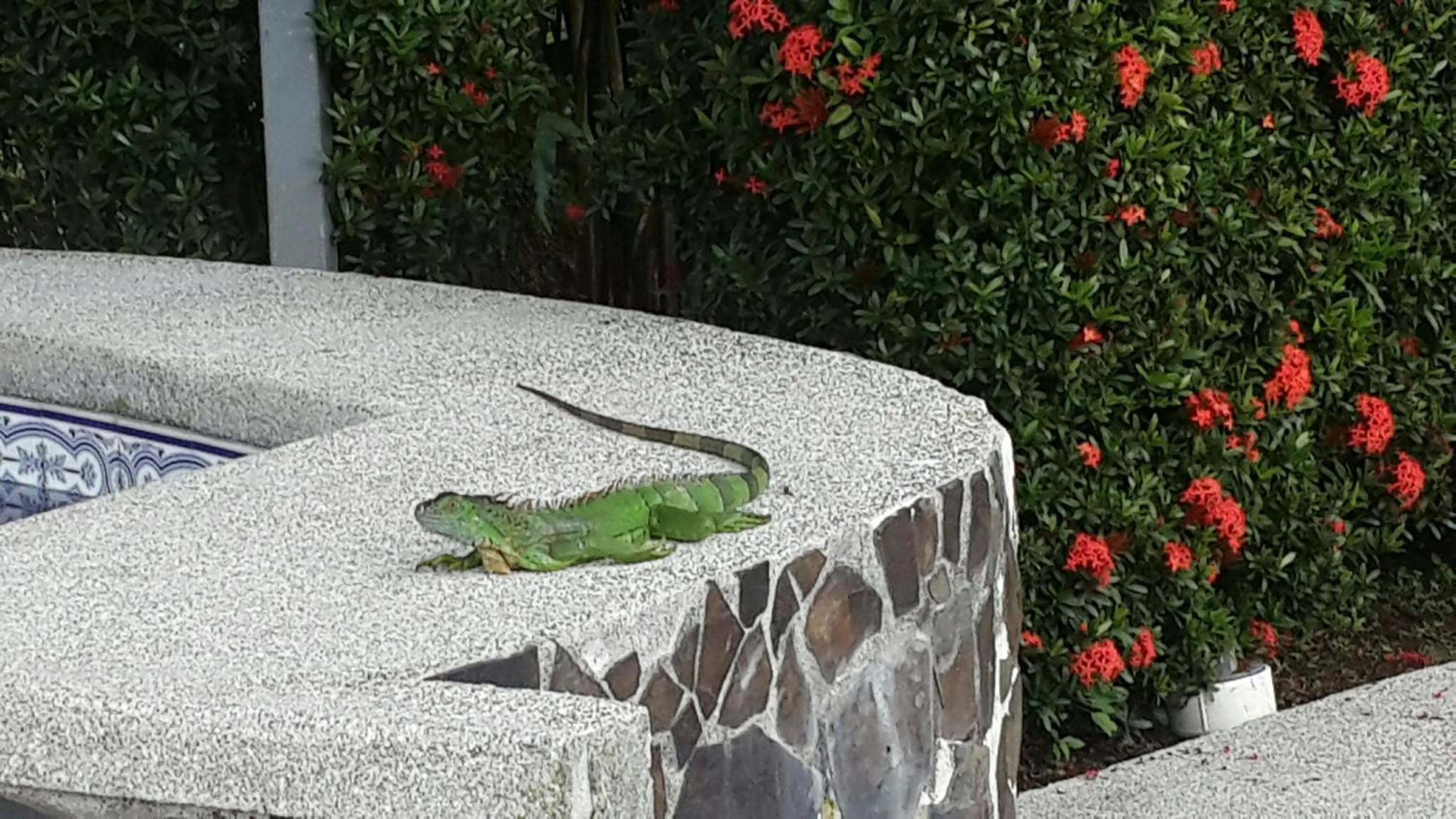 Patio in Hotel Villas Vilma