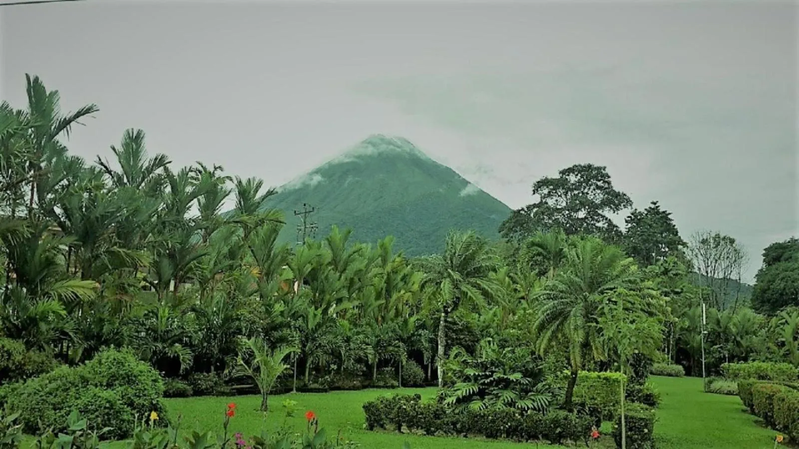 Garden in Hotel Villas Vilma